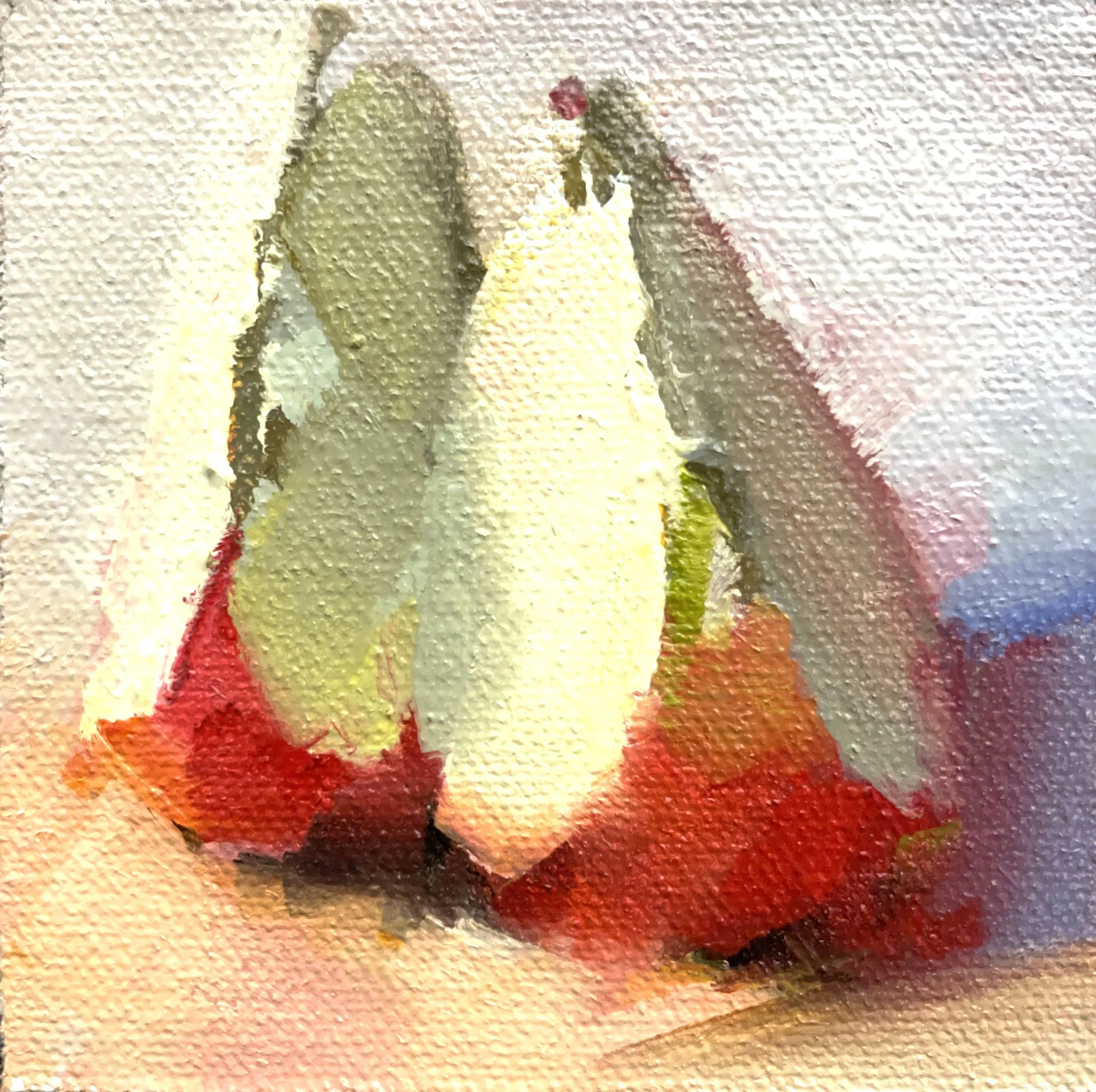 CTarzier-Apple Slices 3x3.jpg