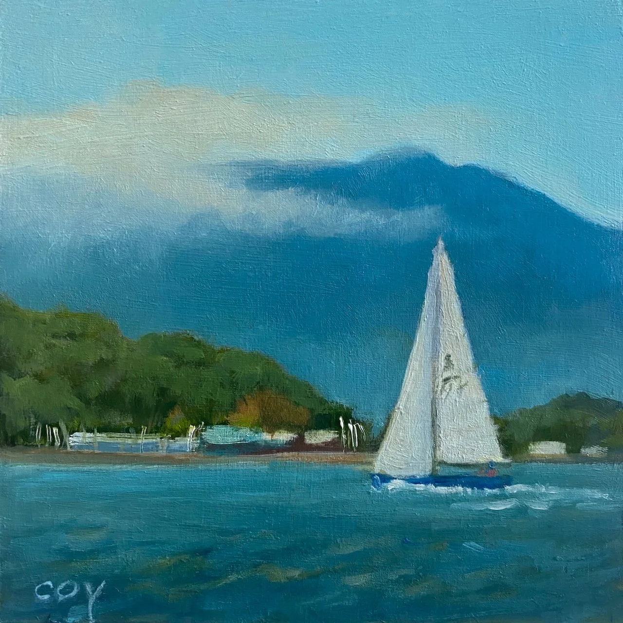CCoy-Bay Sail with MtTam.jpeg