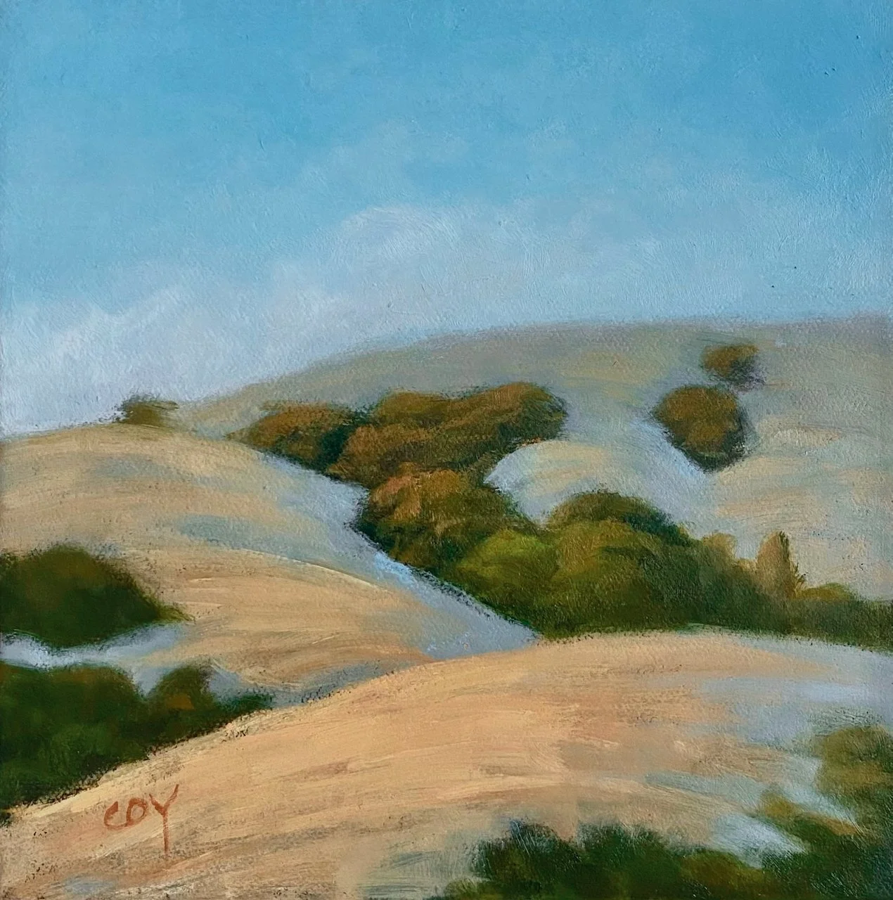 CCoy-Summer Light Marin.jpeg