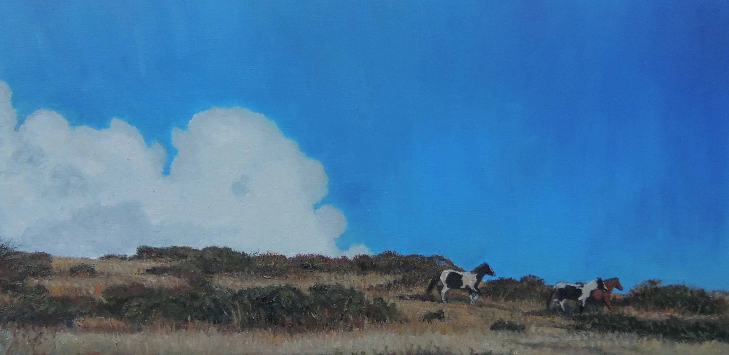 CGrassano-Amblin Along-unframed.jpg