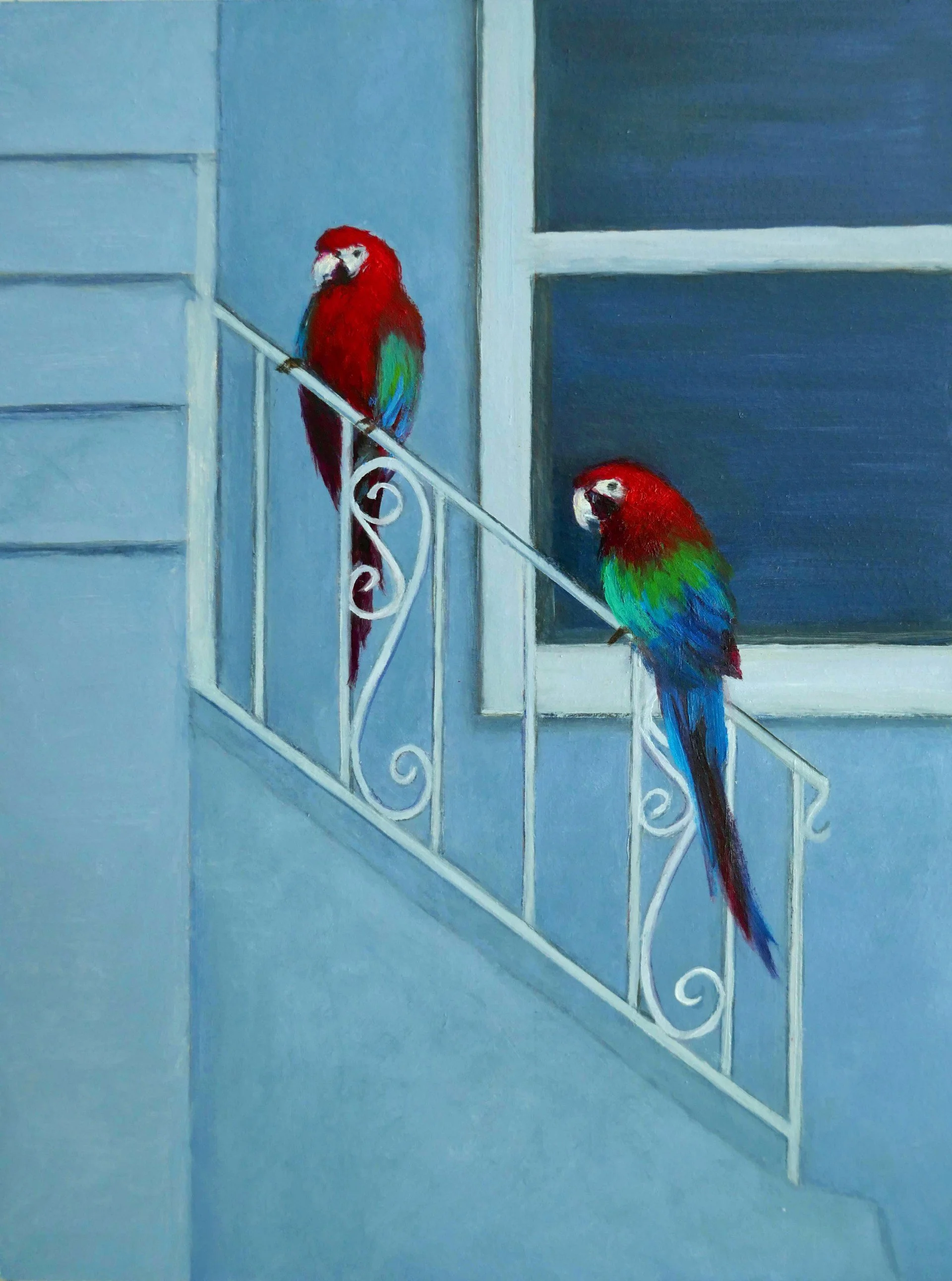 QMiao-parrots_bluehouse.jpg