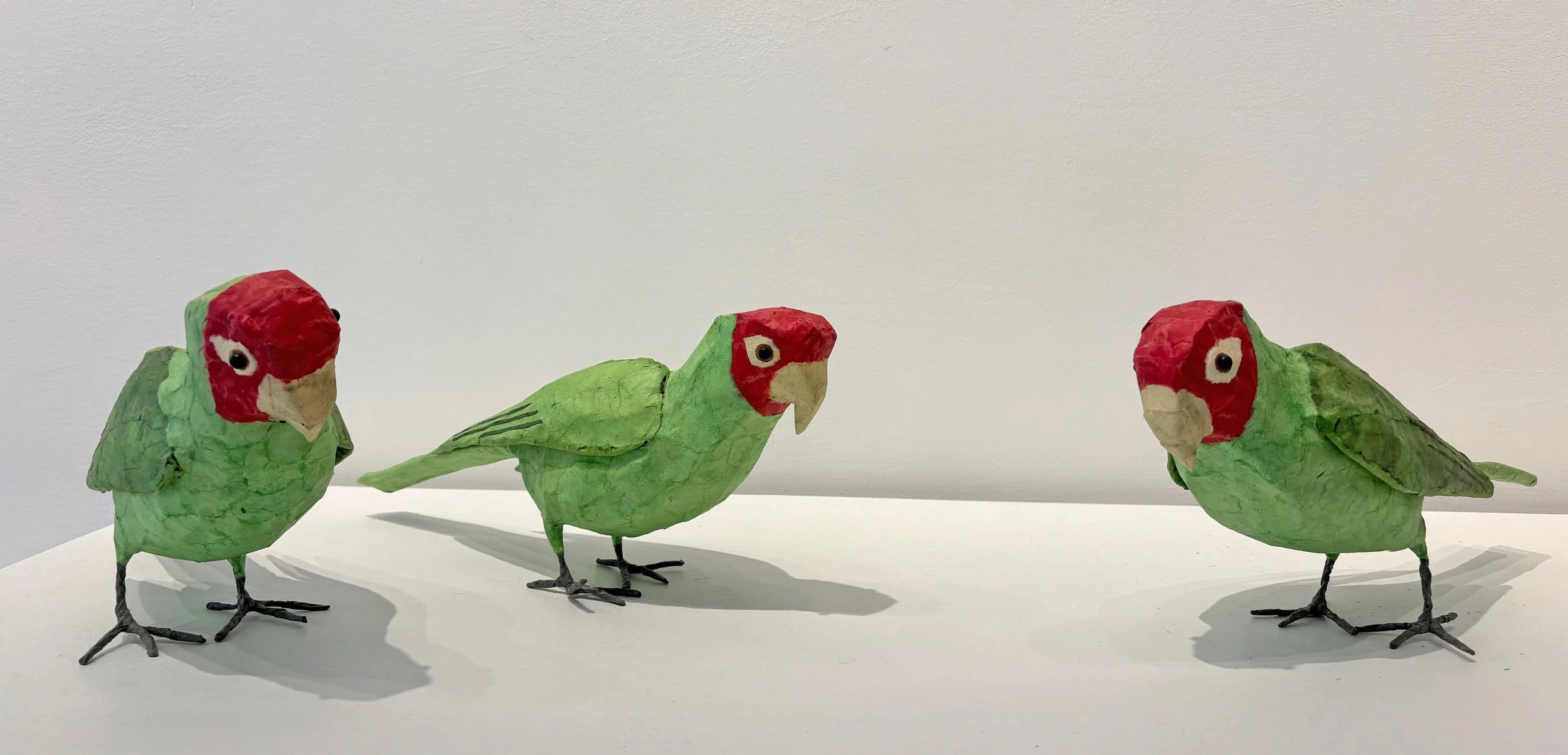 Cherry-Headed Conures by Nancy Overton