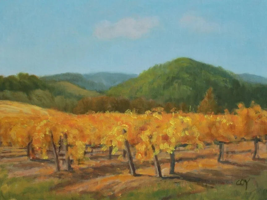 Golden Vineyard, Jack London State Park by Christin Coy