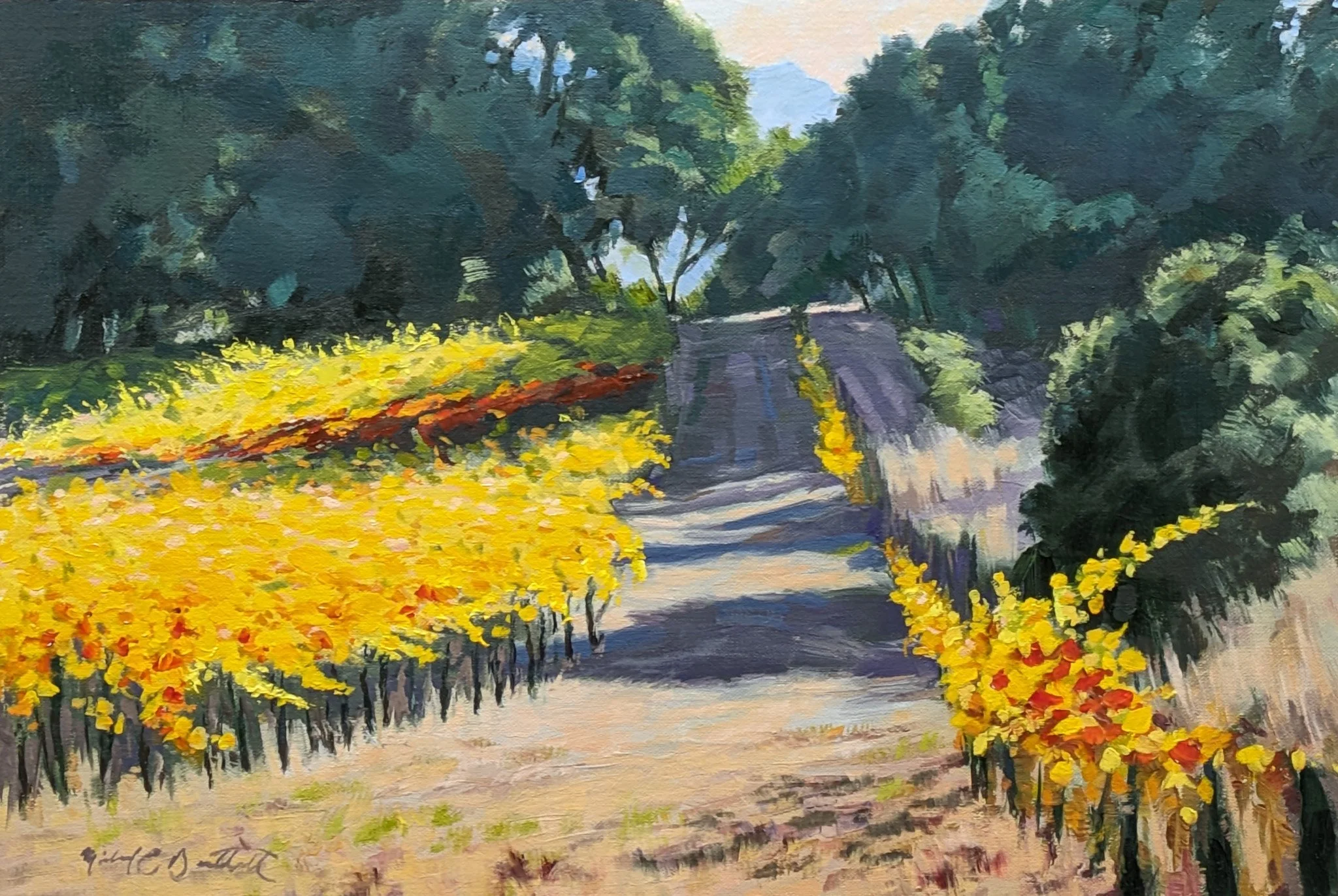 MBartlett-vineyard-alley-sonoma-mtn.jpg