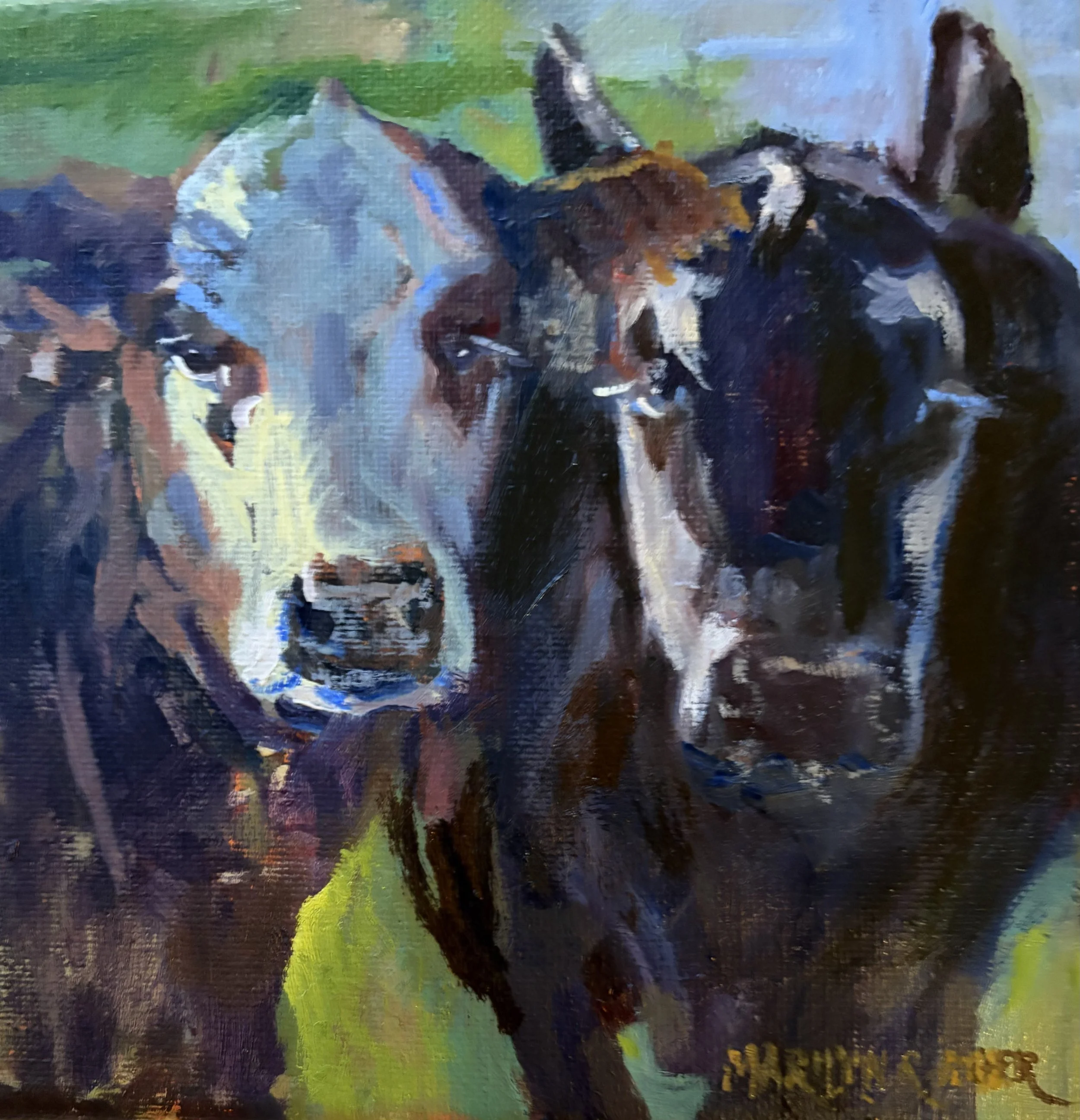 MEger-ContentCows2.jpeg