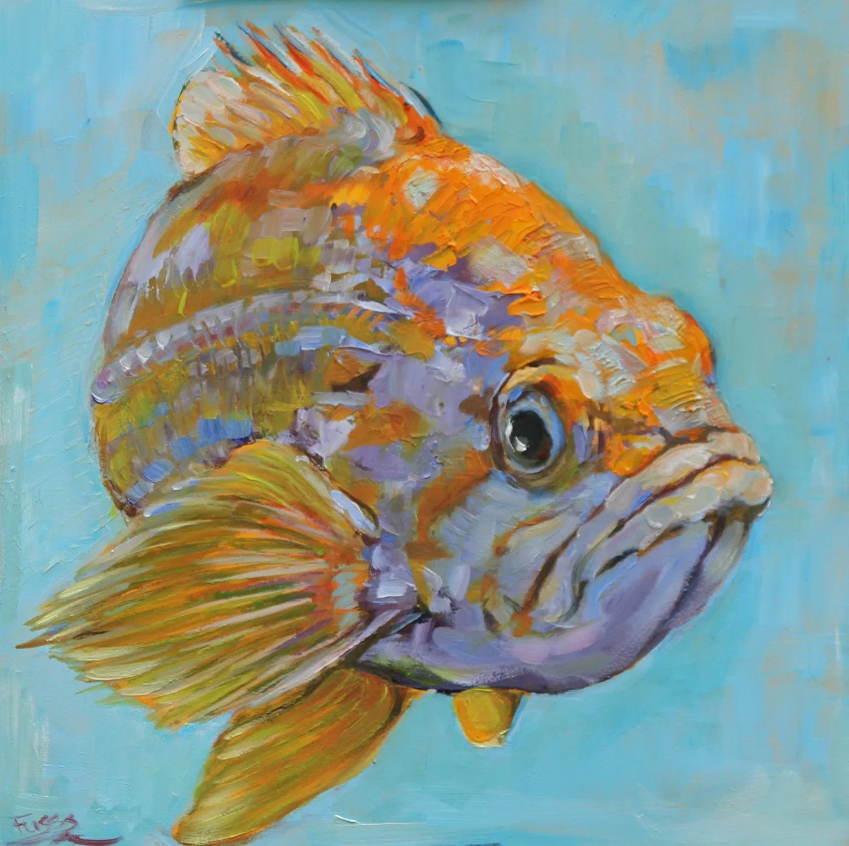 SFuess-Gold Fin.jpg