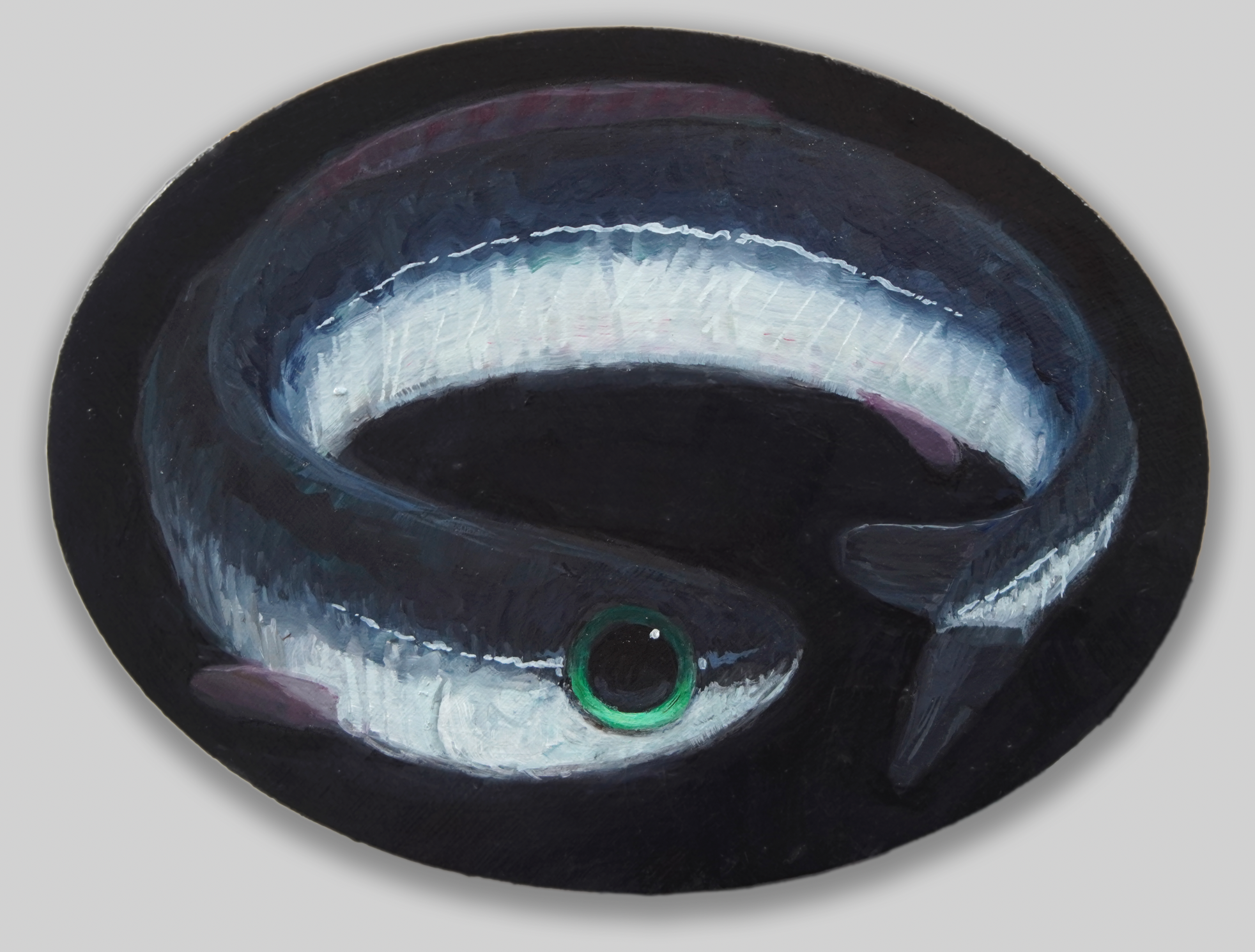 TGiesler-fish1.png