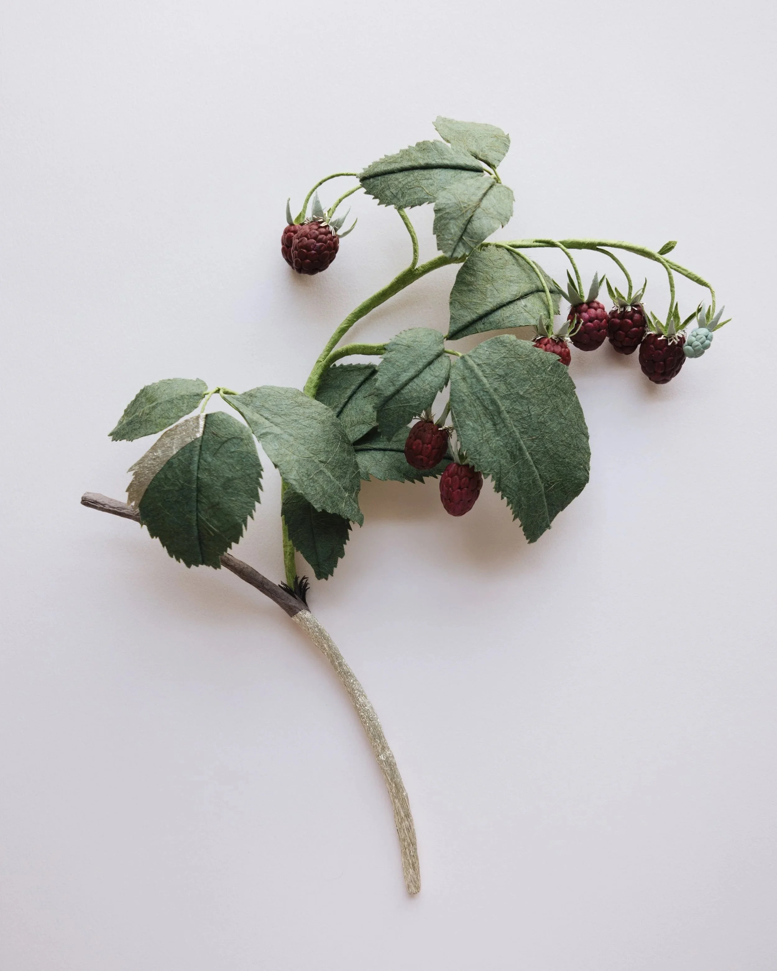 YLiu-Raspberry-Champagne-FRONT.jpg