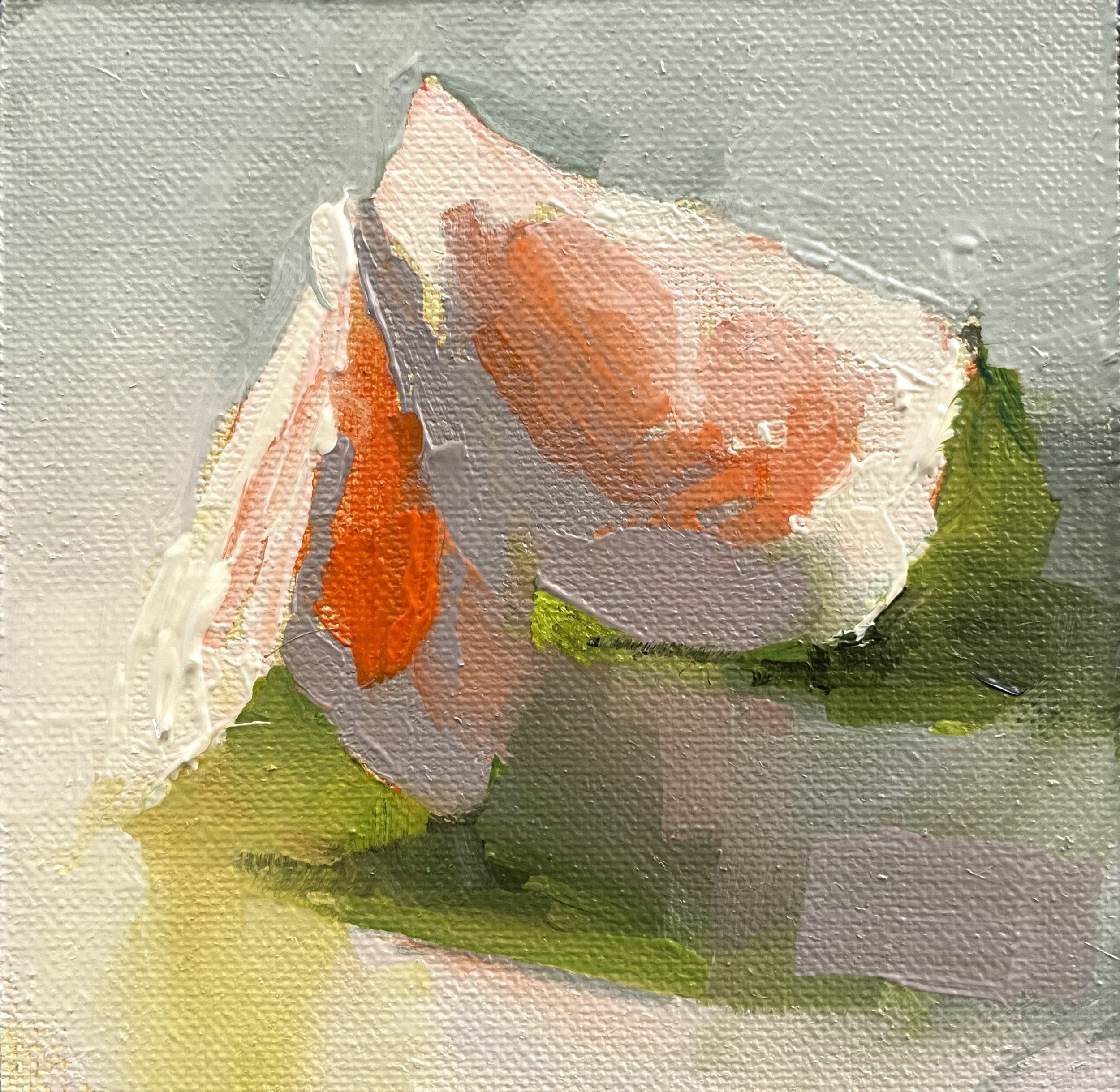 Pomelo Slices #1 by Carol Tarzier