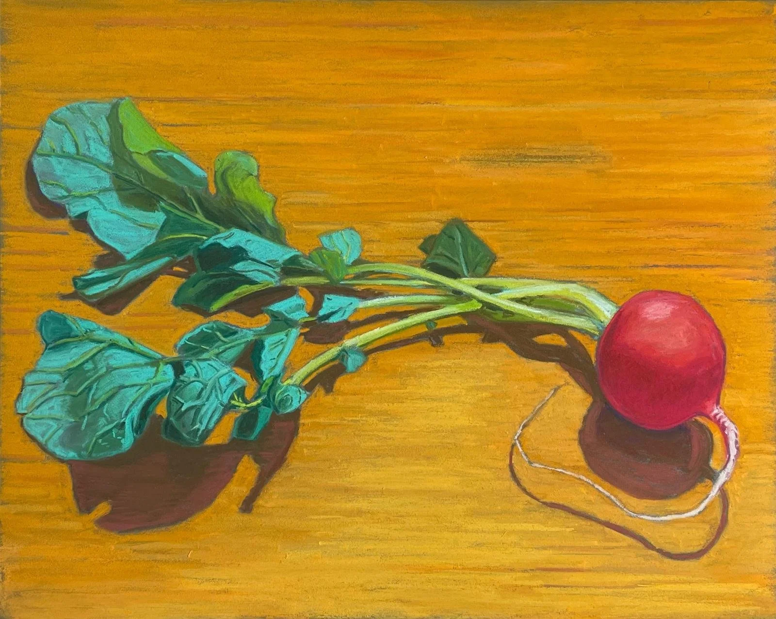 Bright Radish by Andrew Pick
