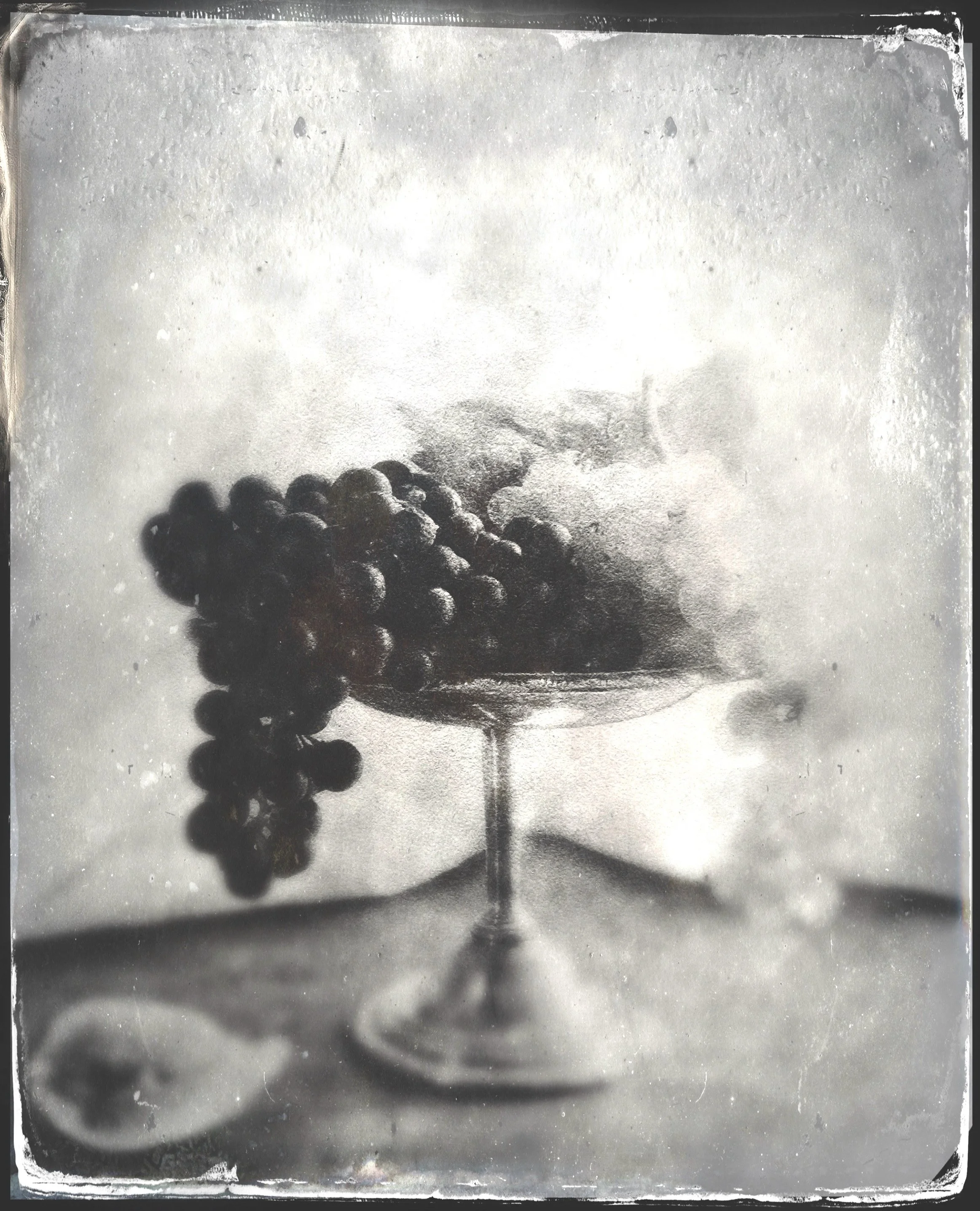 Still Life with Grapes by Barbara Wyeth