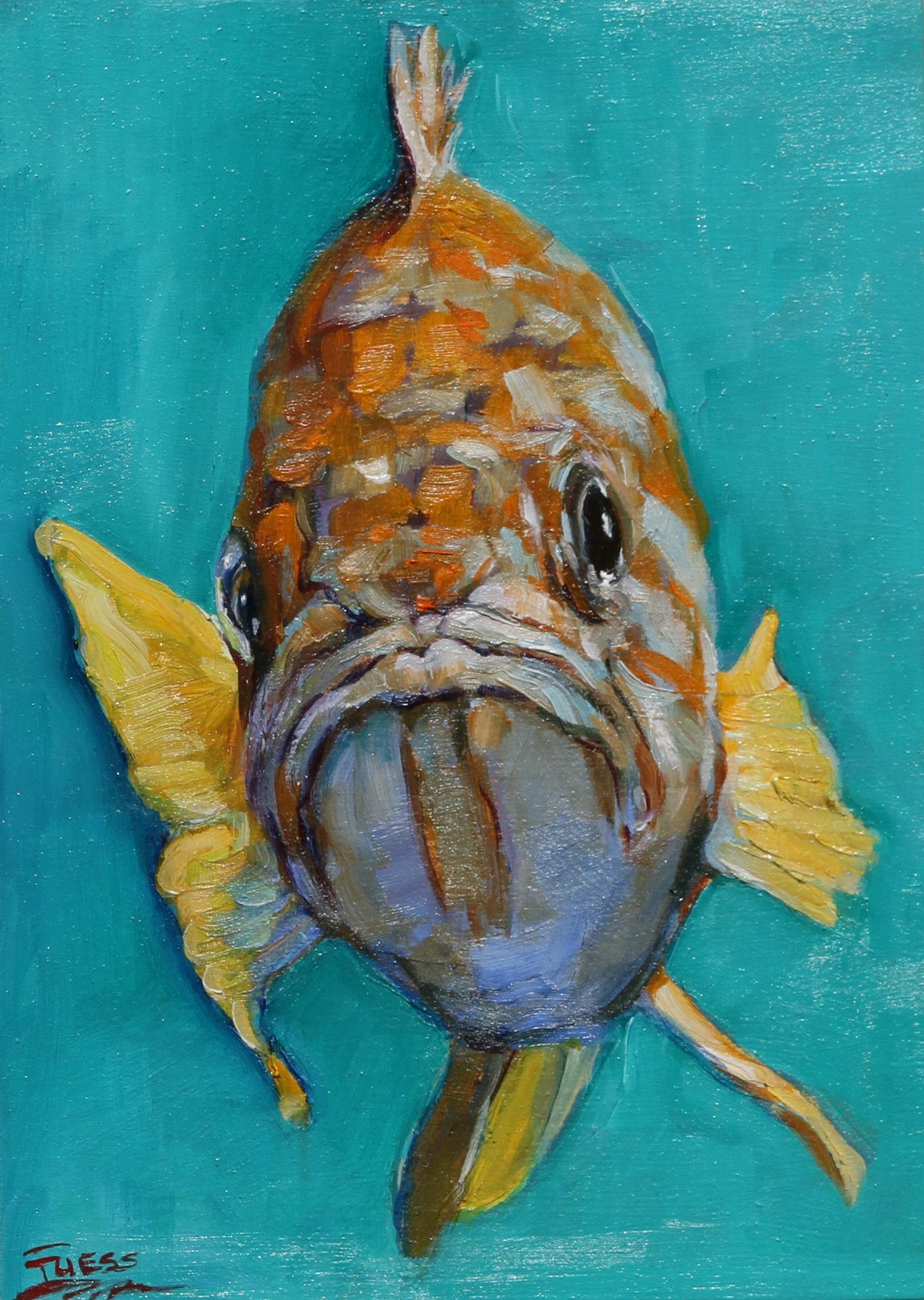Frowny Fish by Sally Fuess