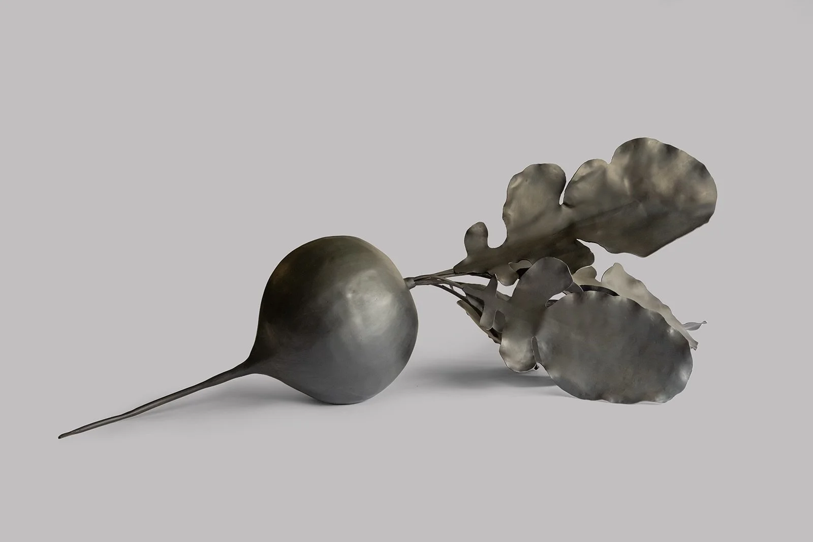 Black Radish by Sebastian Roldan