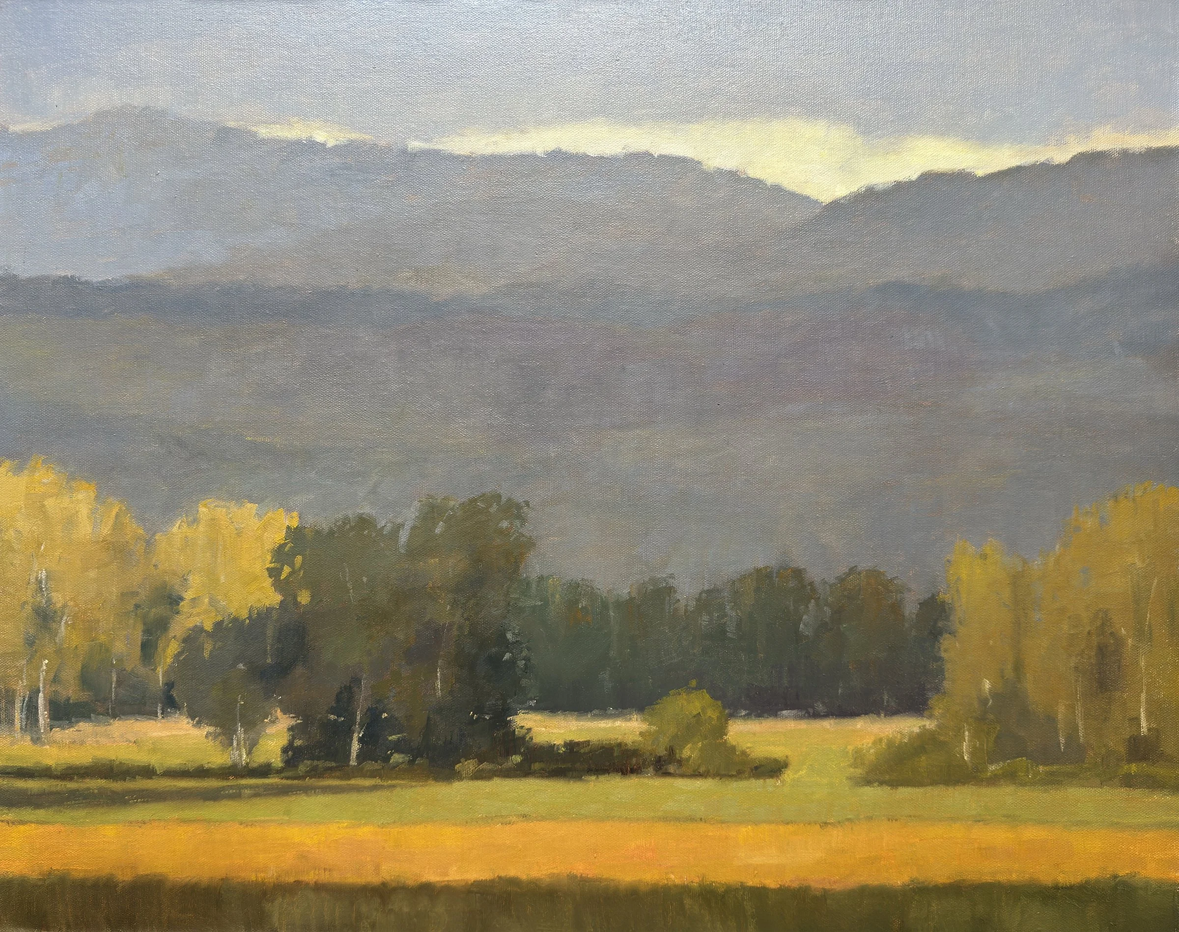 Carneros Light 2024.jpg