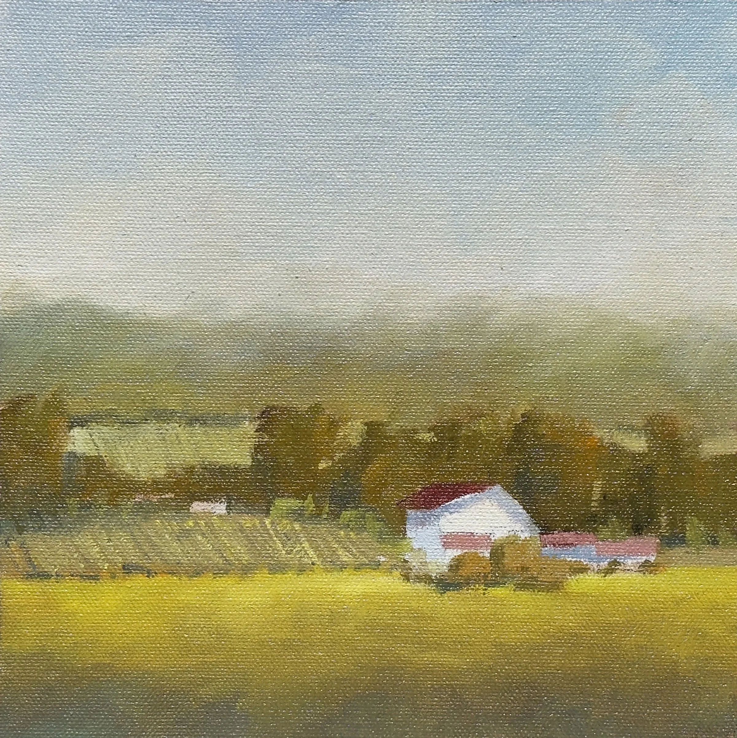 Clearing Over the Farm 0808.jpg