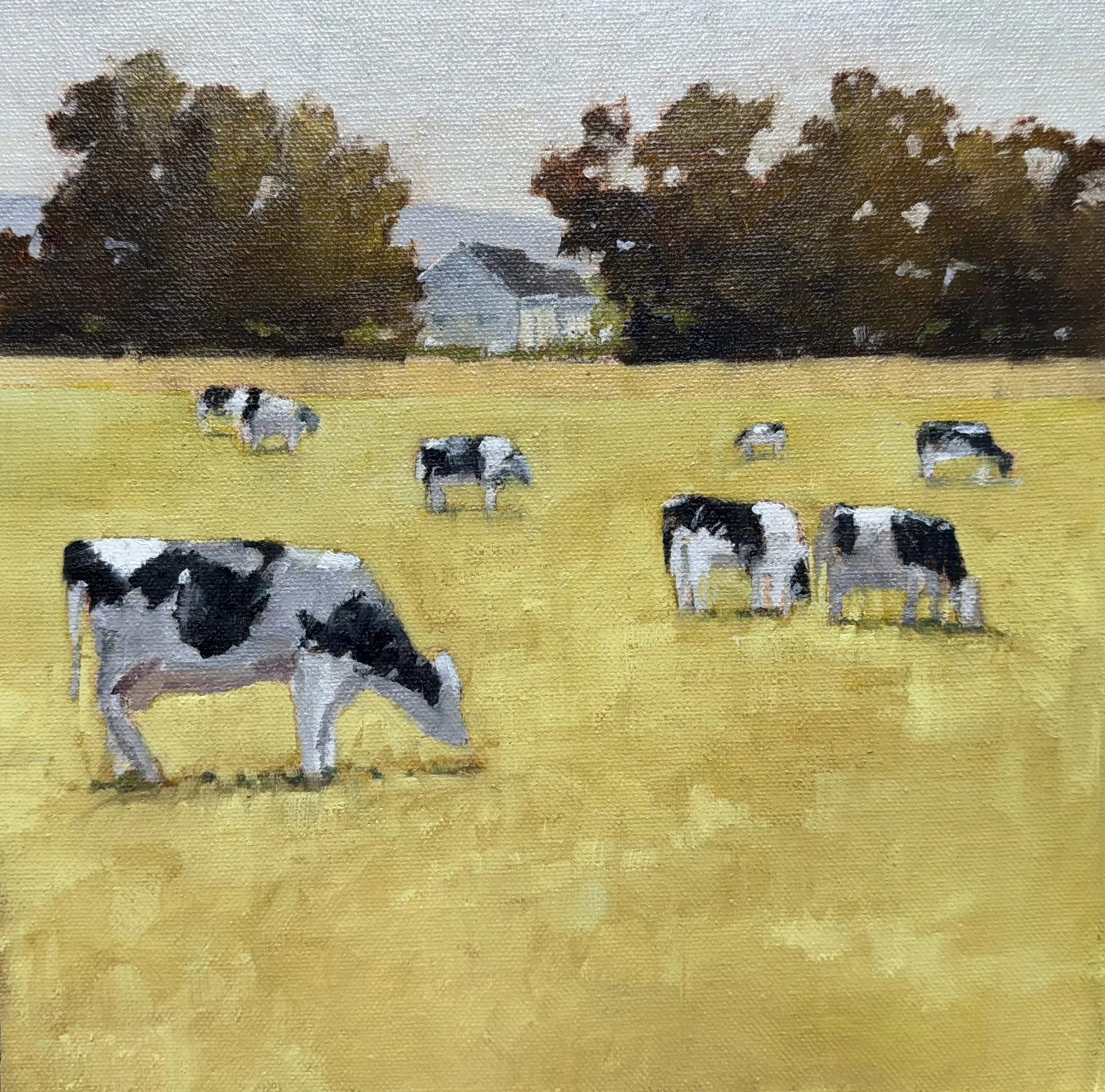 The Daily Graze 0909.jpg