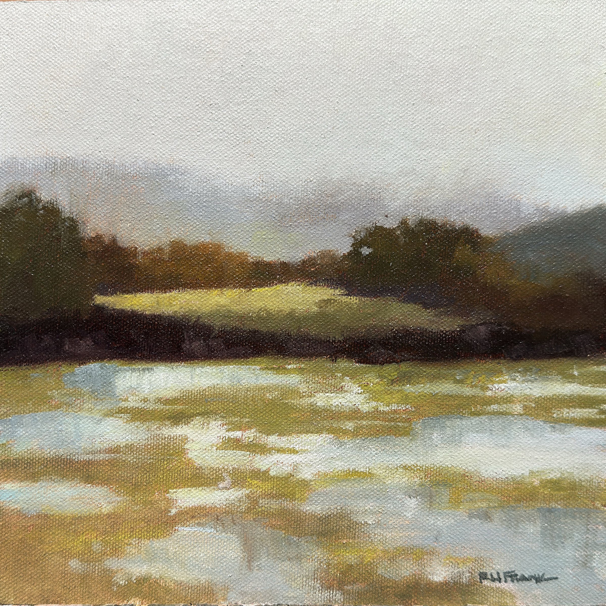 Tomales Bay Wetlands 0808.jpg