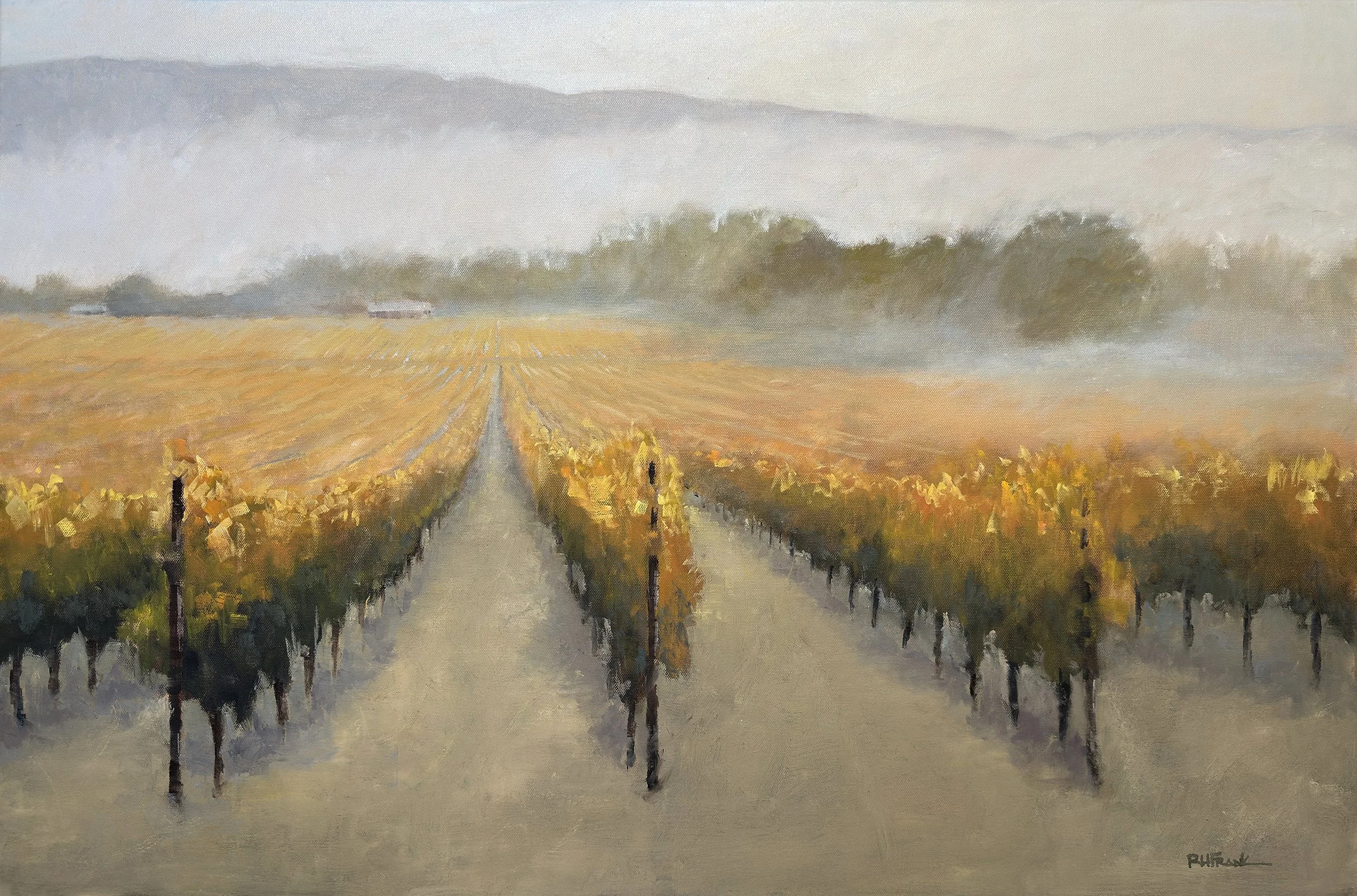 Vineyard in Valley Fog 2436.jpg