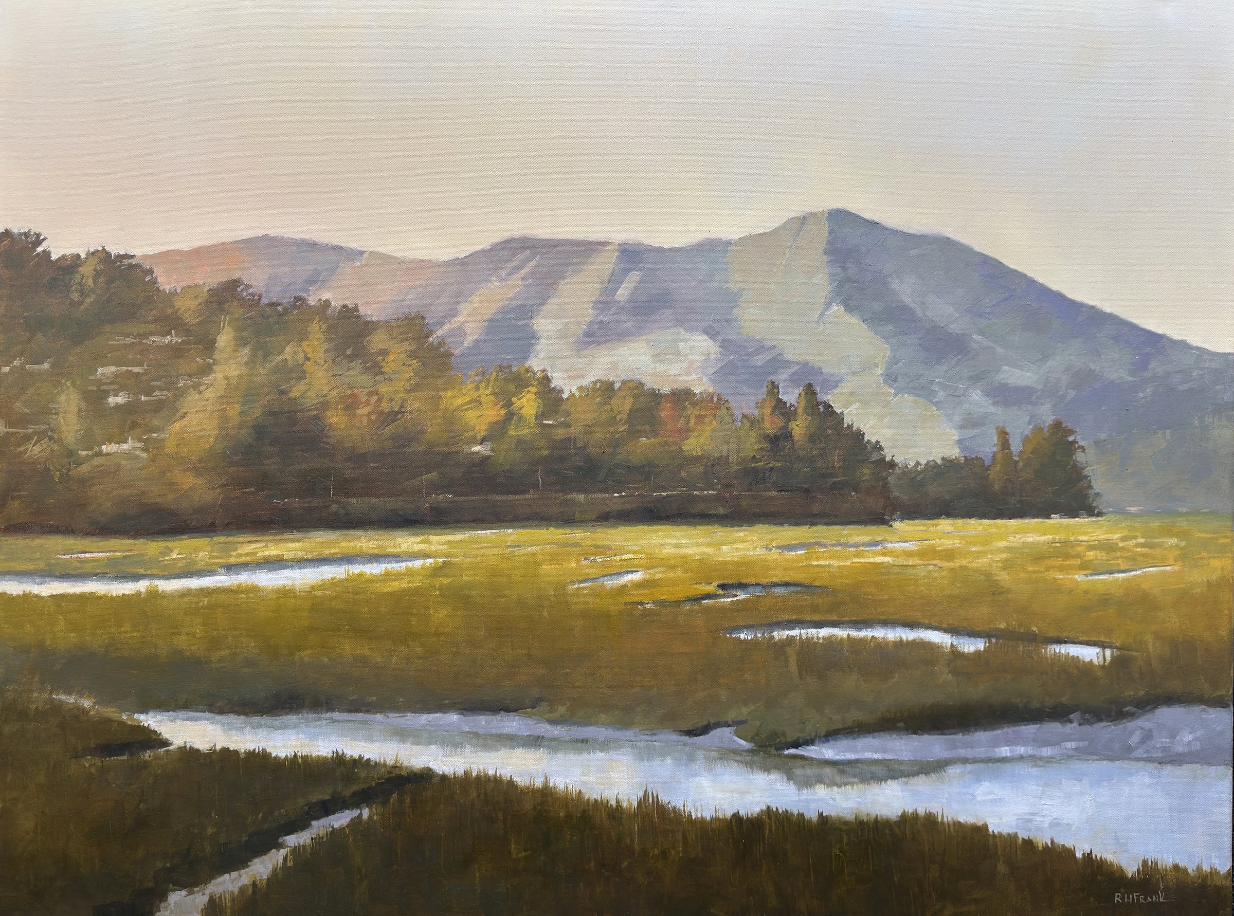 Wetlands & Mt Tam 3040.jpg