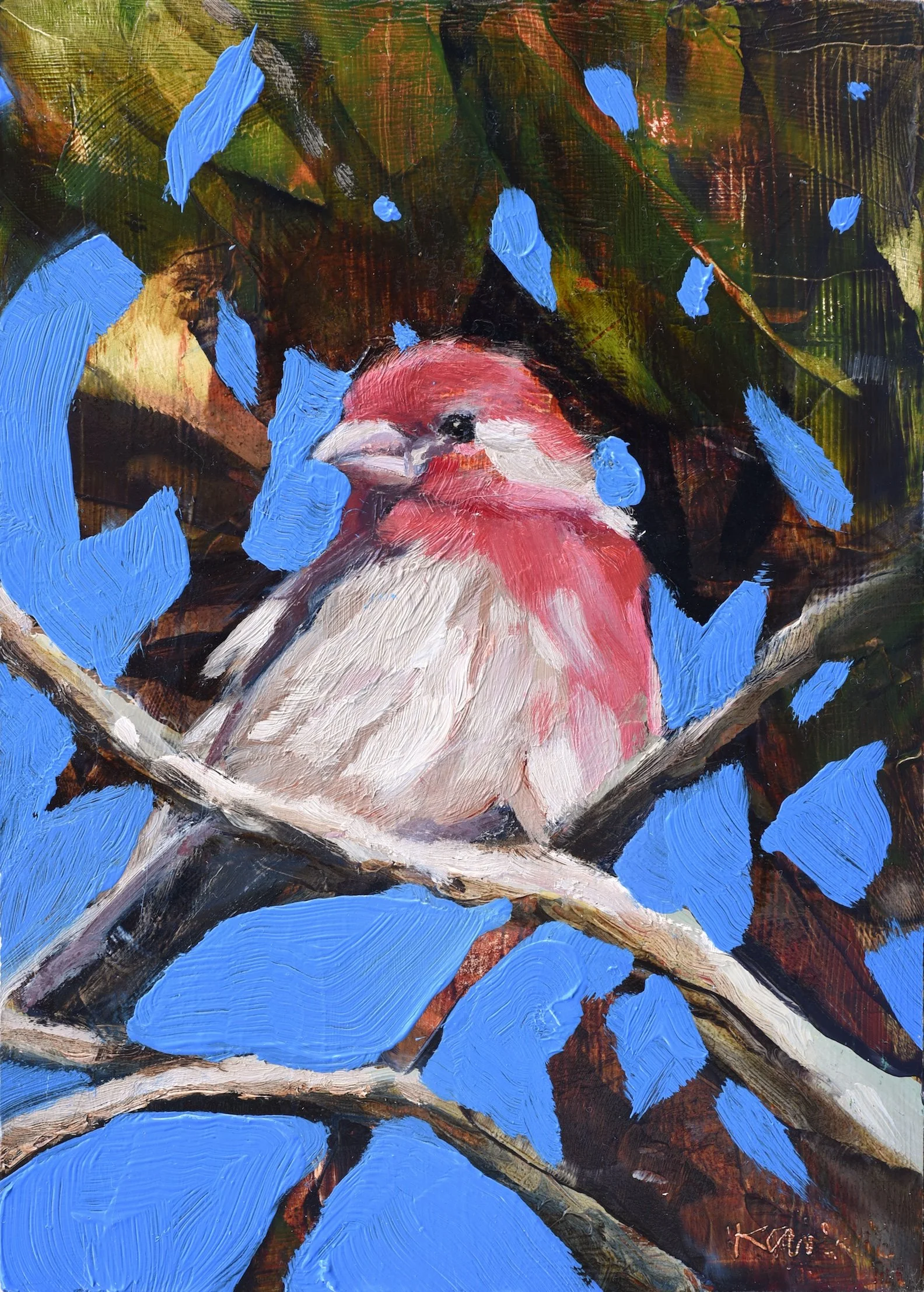 House Finch by Kanna Aoki