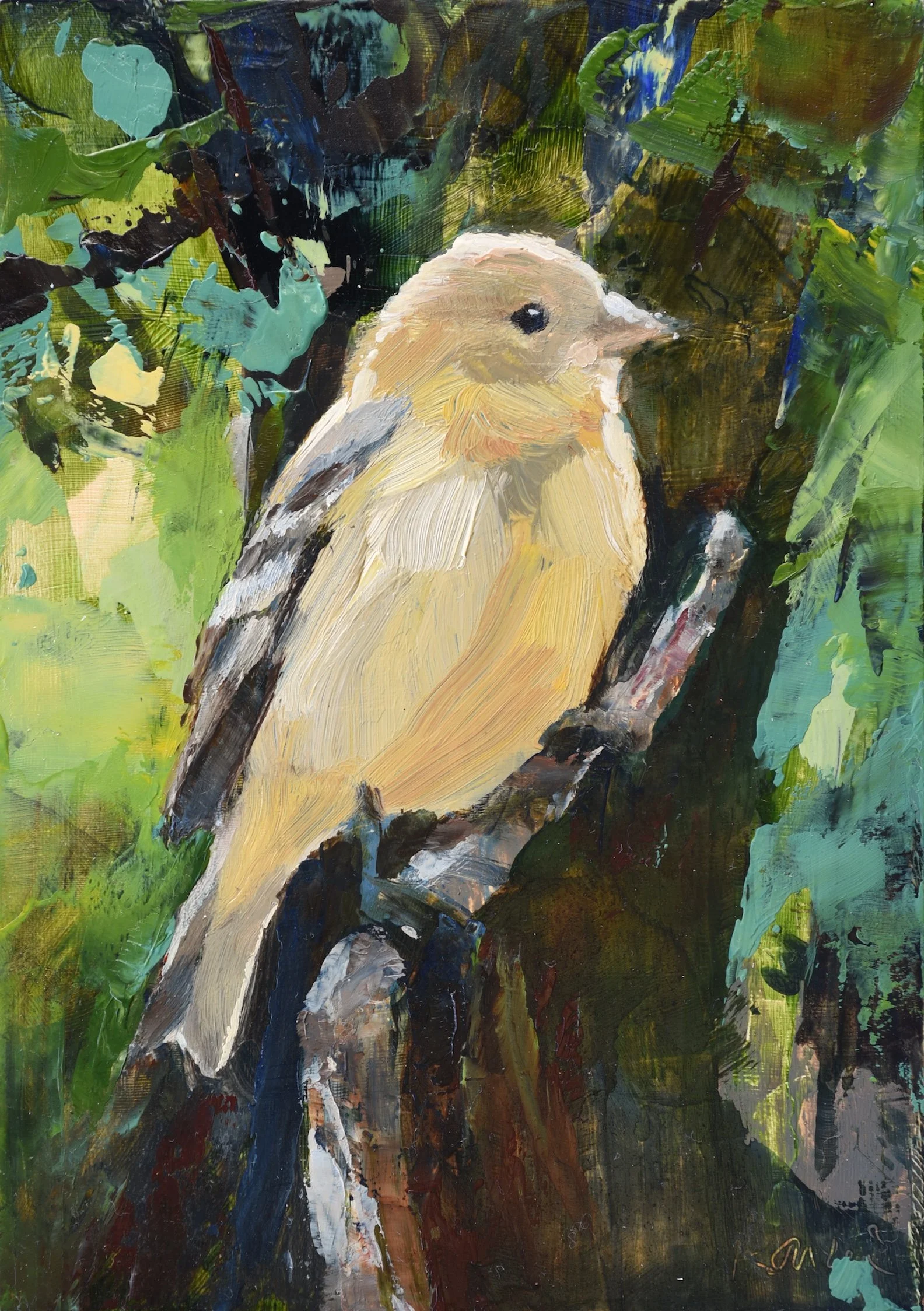 Lesser Goldfinch III by Kanna Aoki