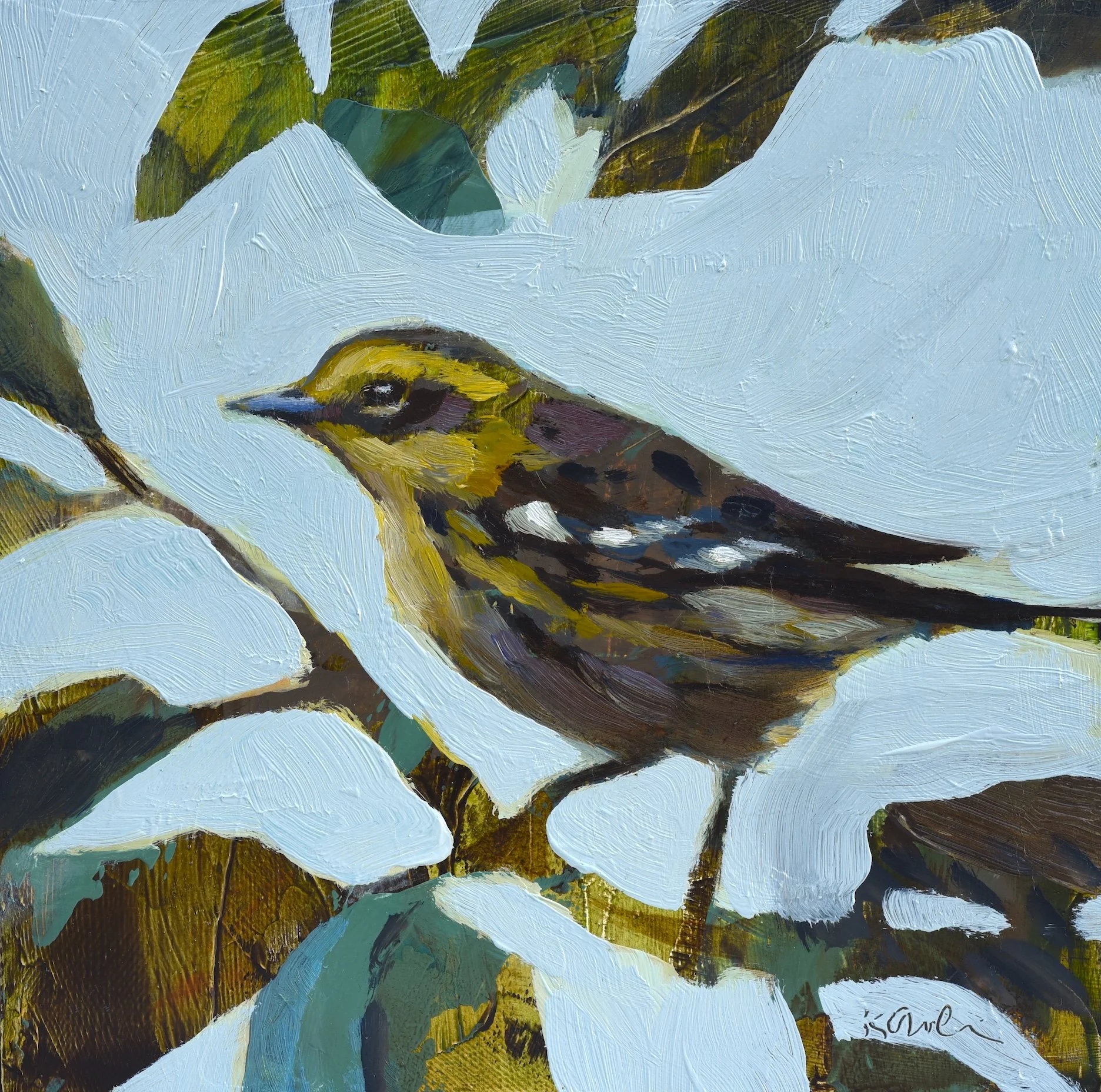Townsend's Warbler II by Kanna Aoki
