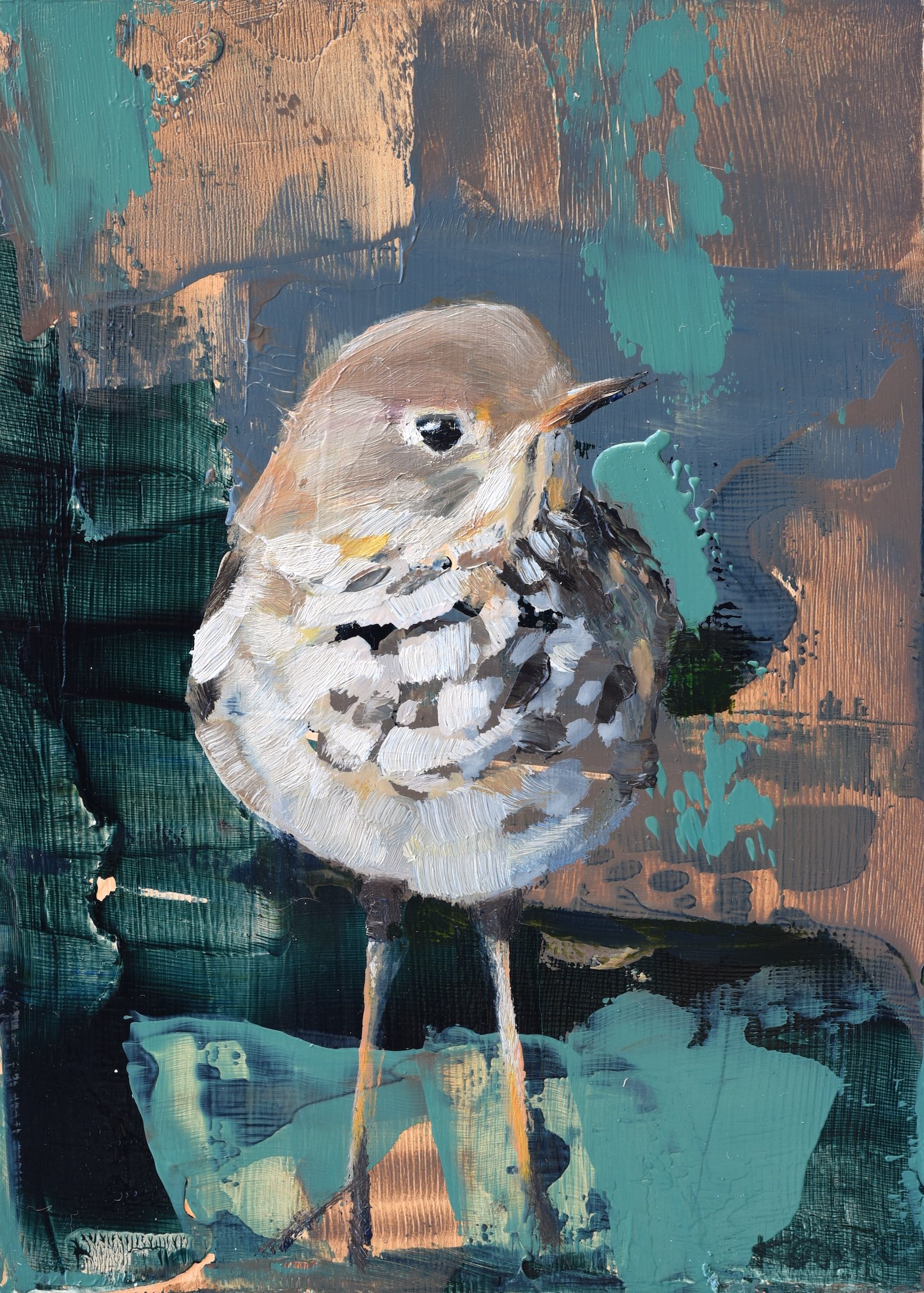 Hermit Thrush III by Kanna Aoki