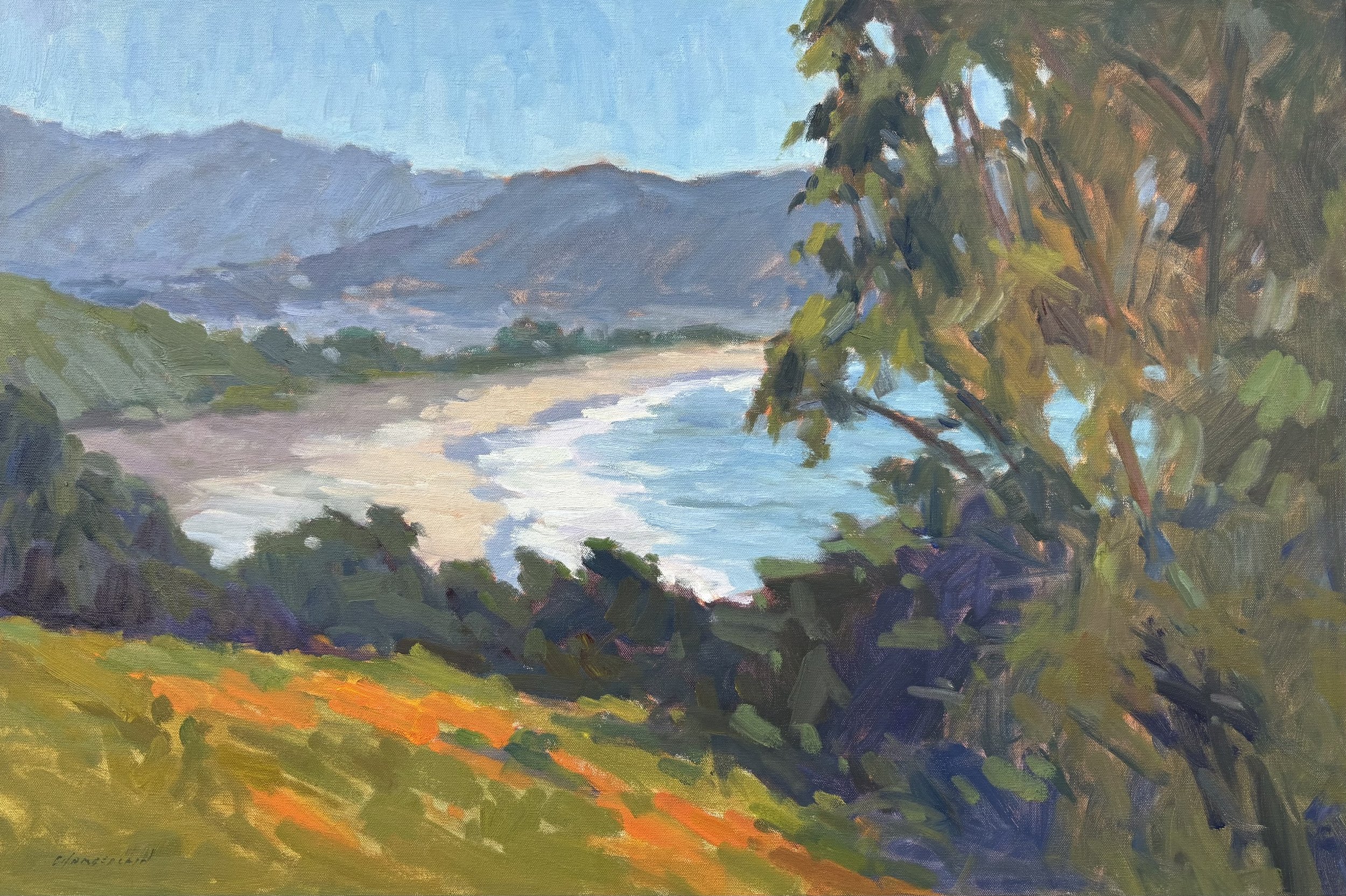 Above Linda Mar by Michael Chamberlain