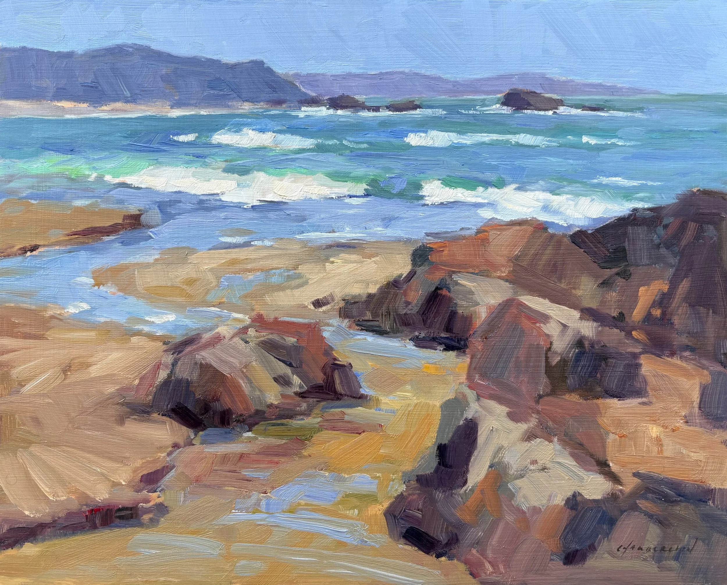 Ano Nuevo Coast by Michael Chamberlain
