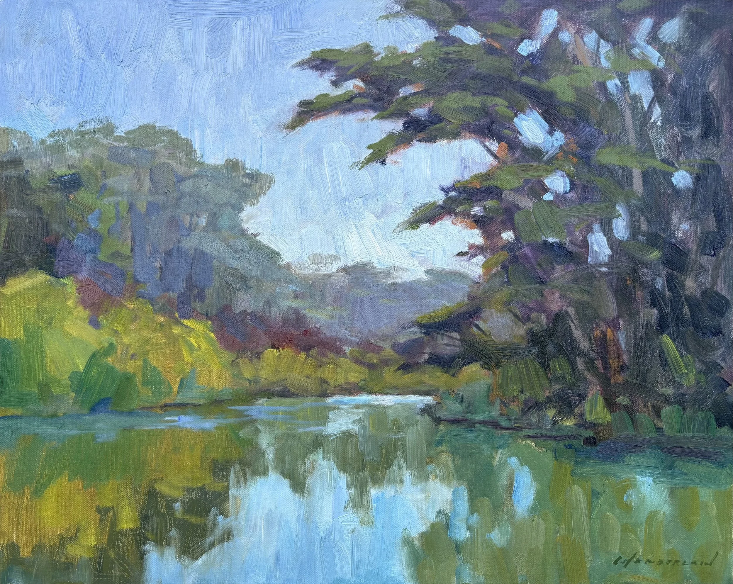 Cypress, Blue Heron Lake by Michael Chamberlain