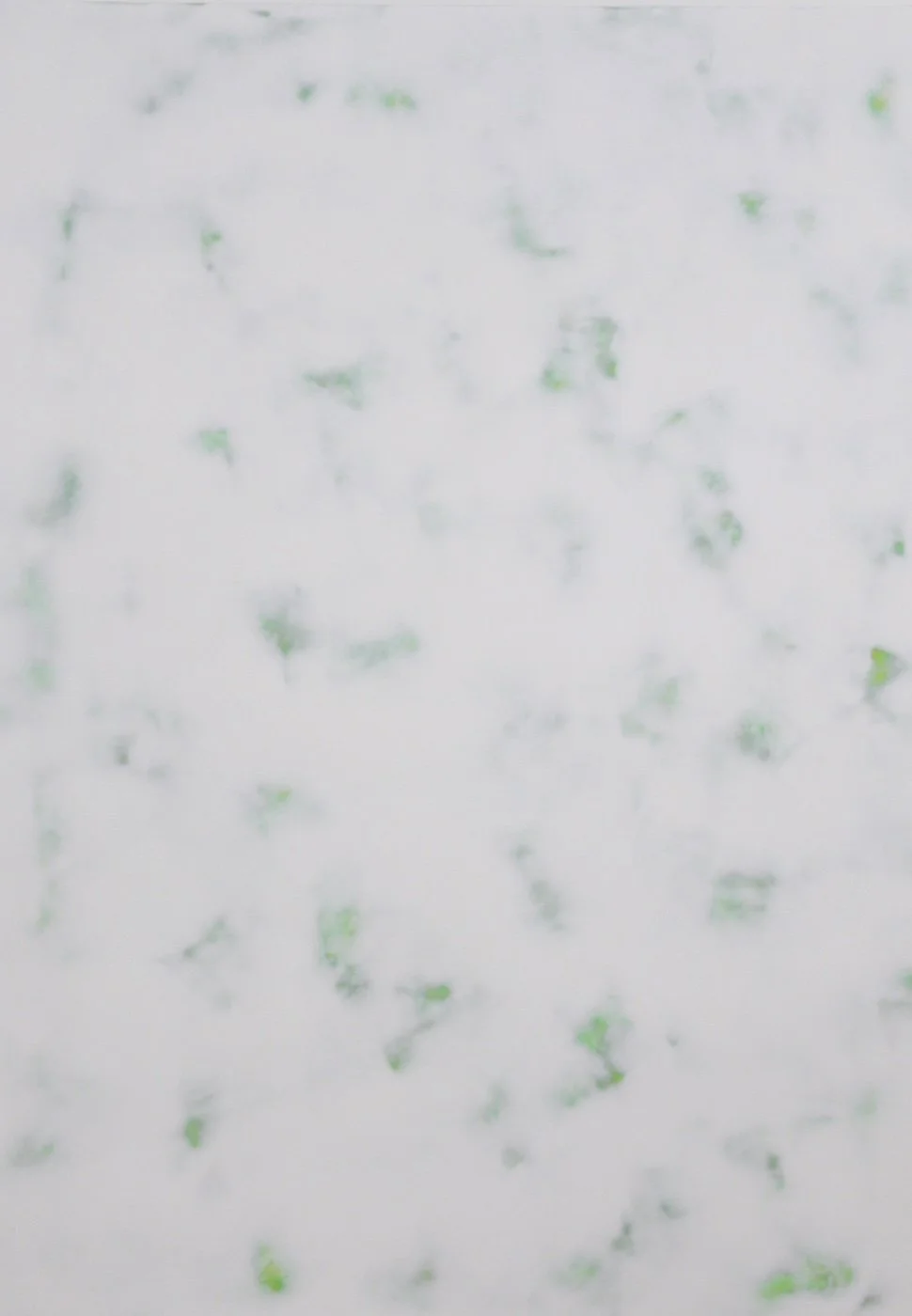 April Mist