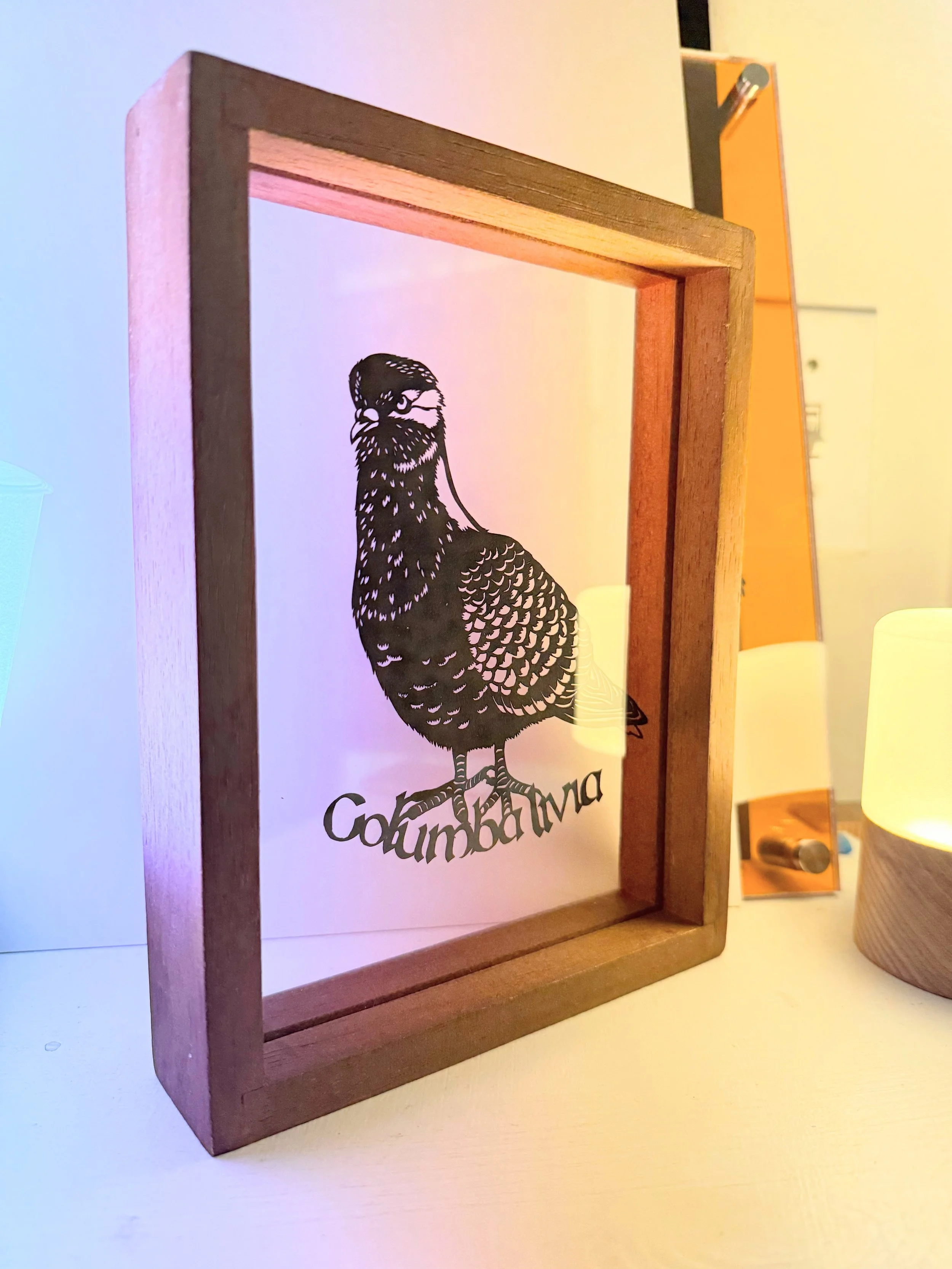 DYew pigeon 2.jpg