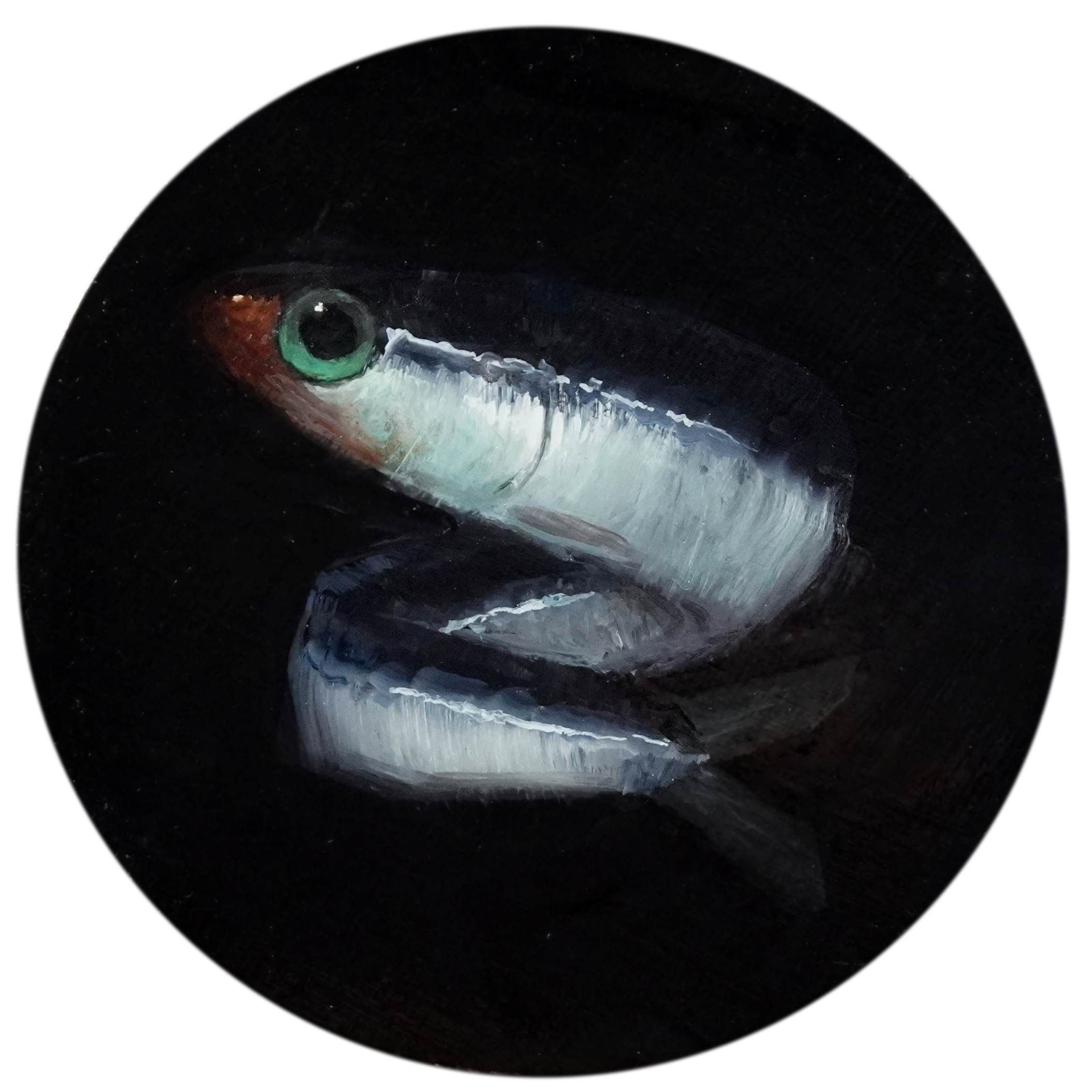 TGiesler-solo-no.6.png