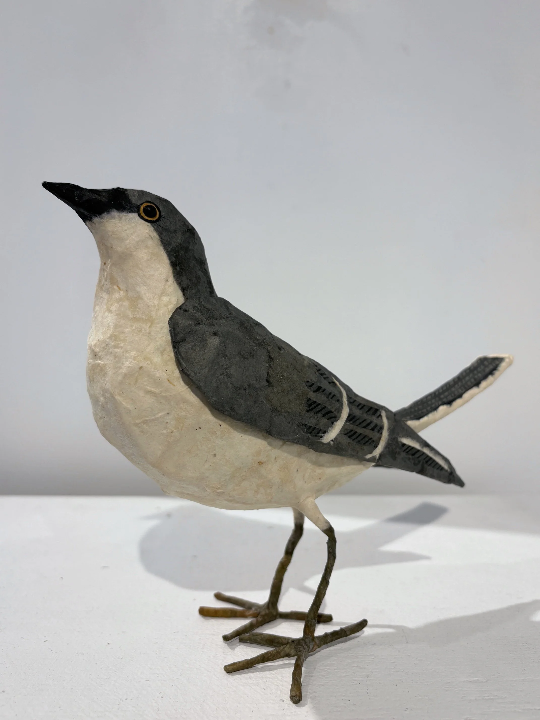 NOverton-Mockingbird2.jpg