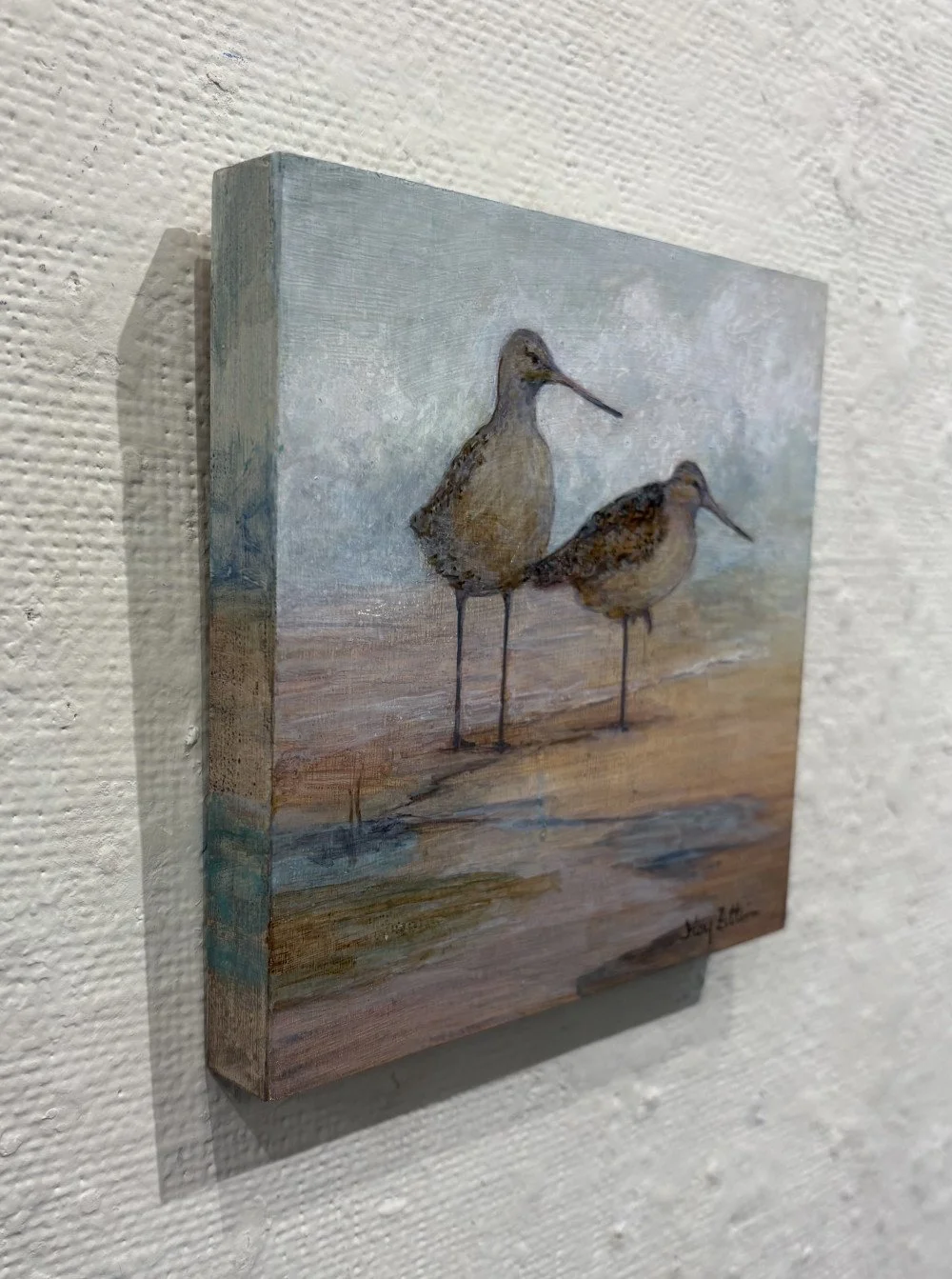 FZittin-Godwits side.jpeg