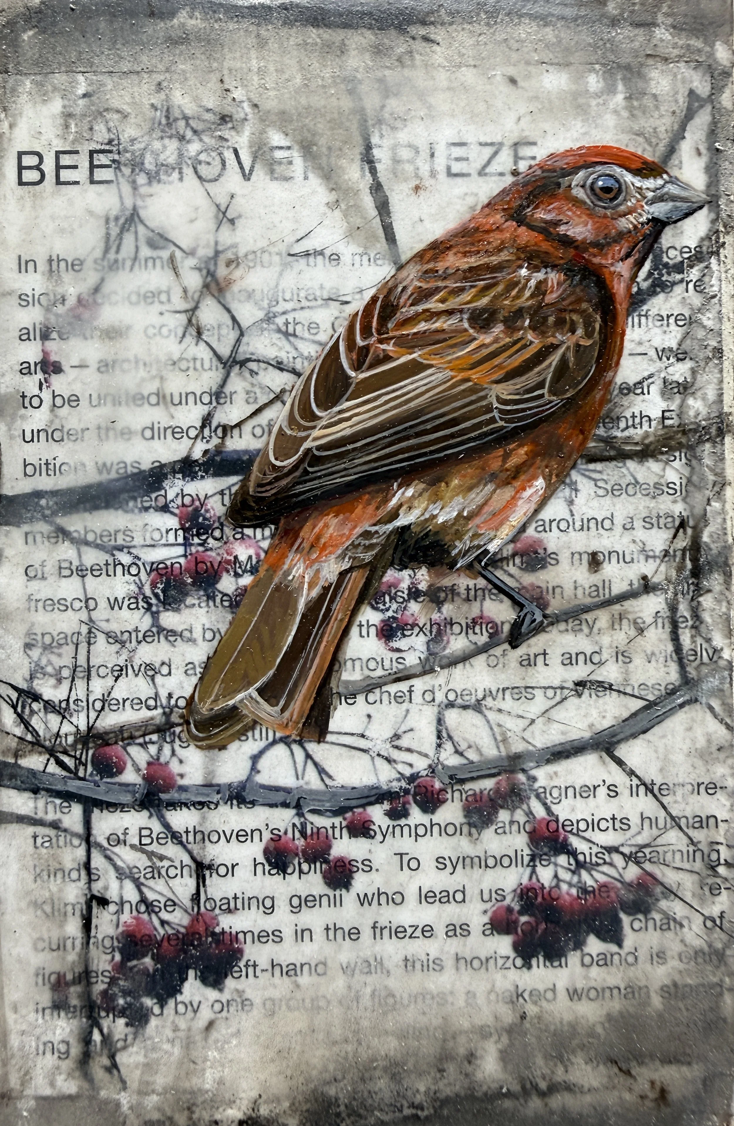 DMajumdar-perched in prose1.jpg