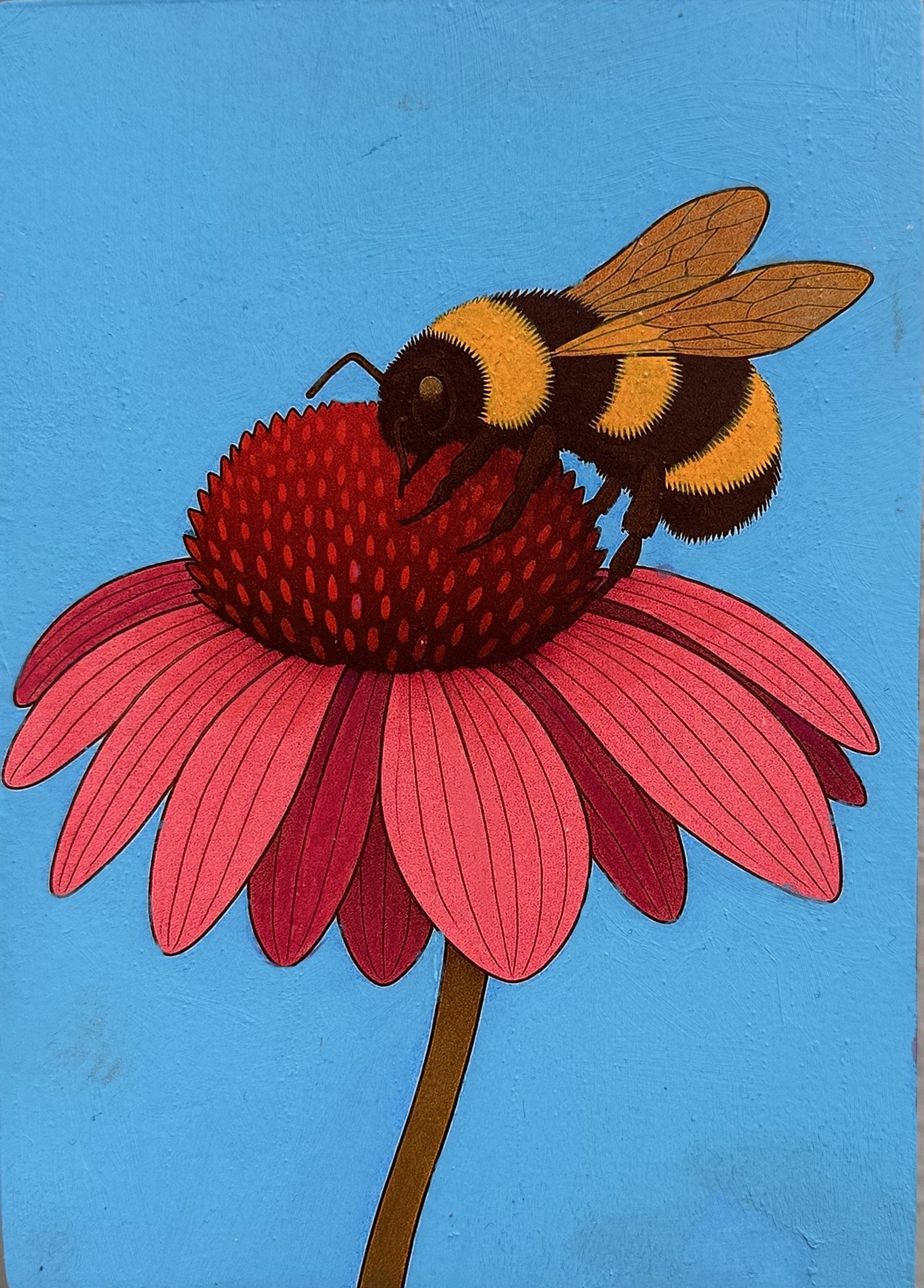 KOlsen-Dunn-BeeonConeflower.jpeg