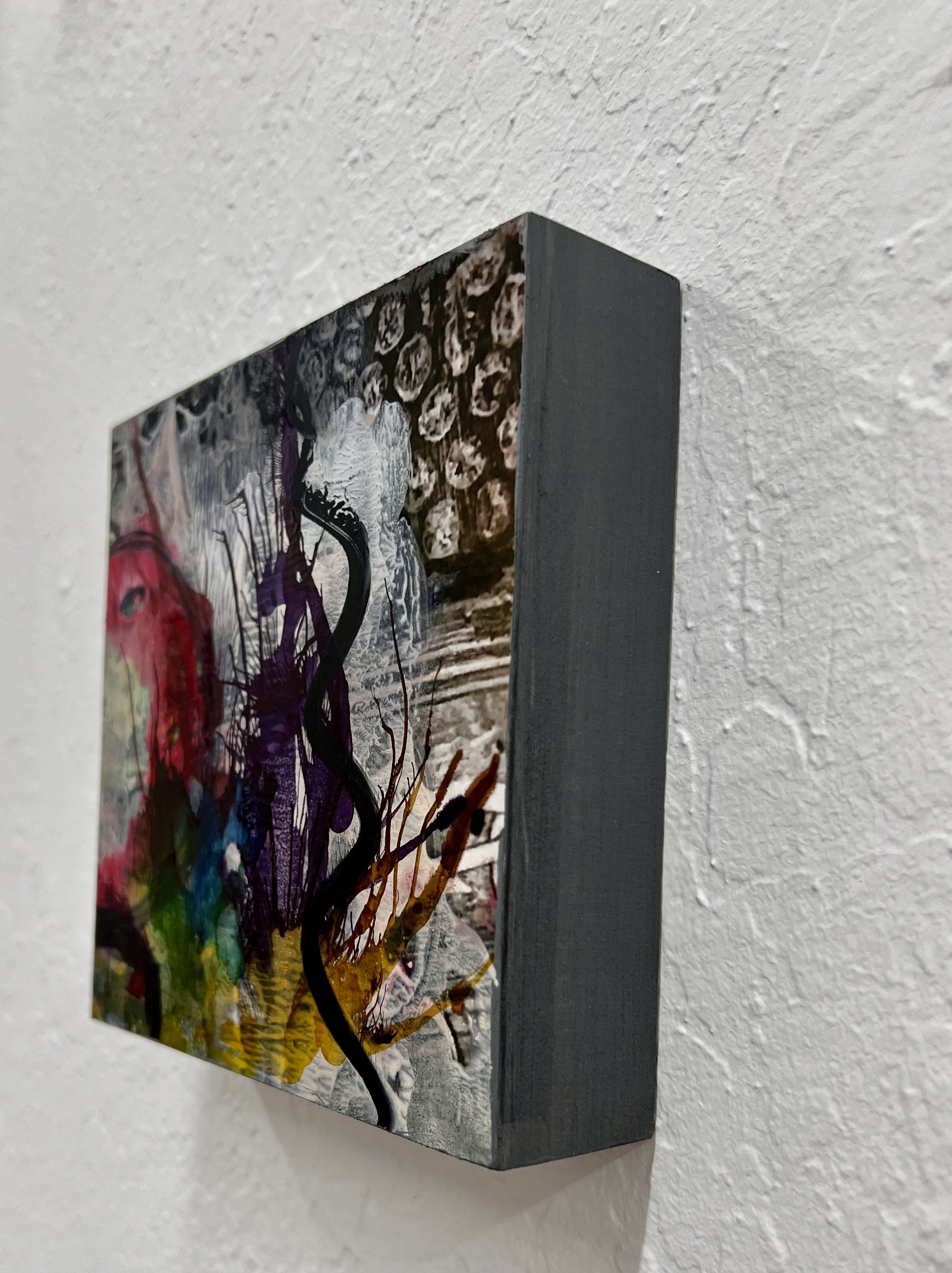 PLeeds-Octopus's Garden3.JPG