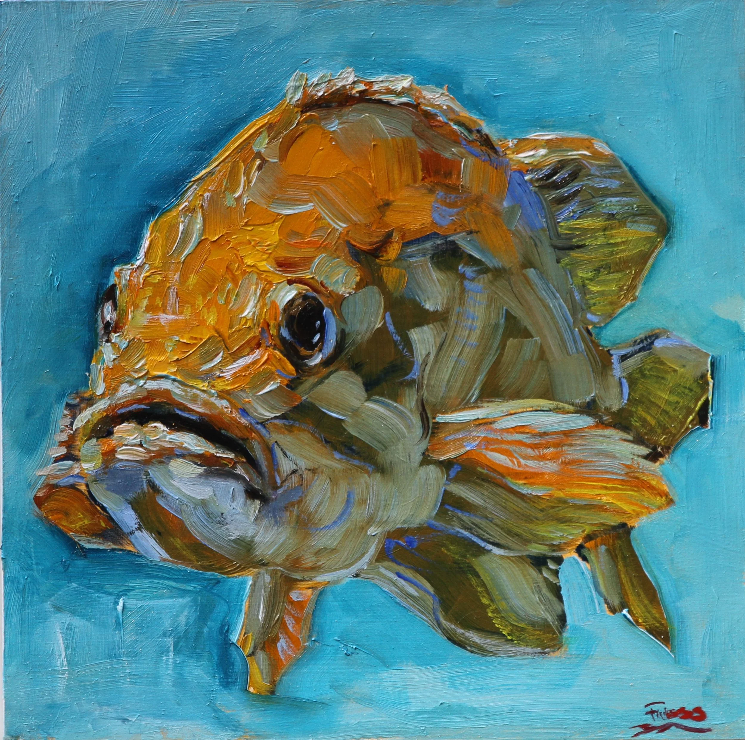 SFuess-Orange Rockfish_S.Fuess.JPG