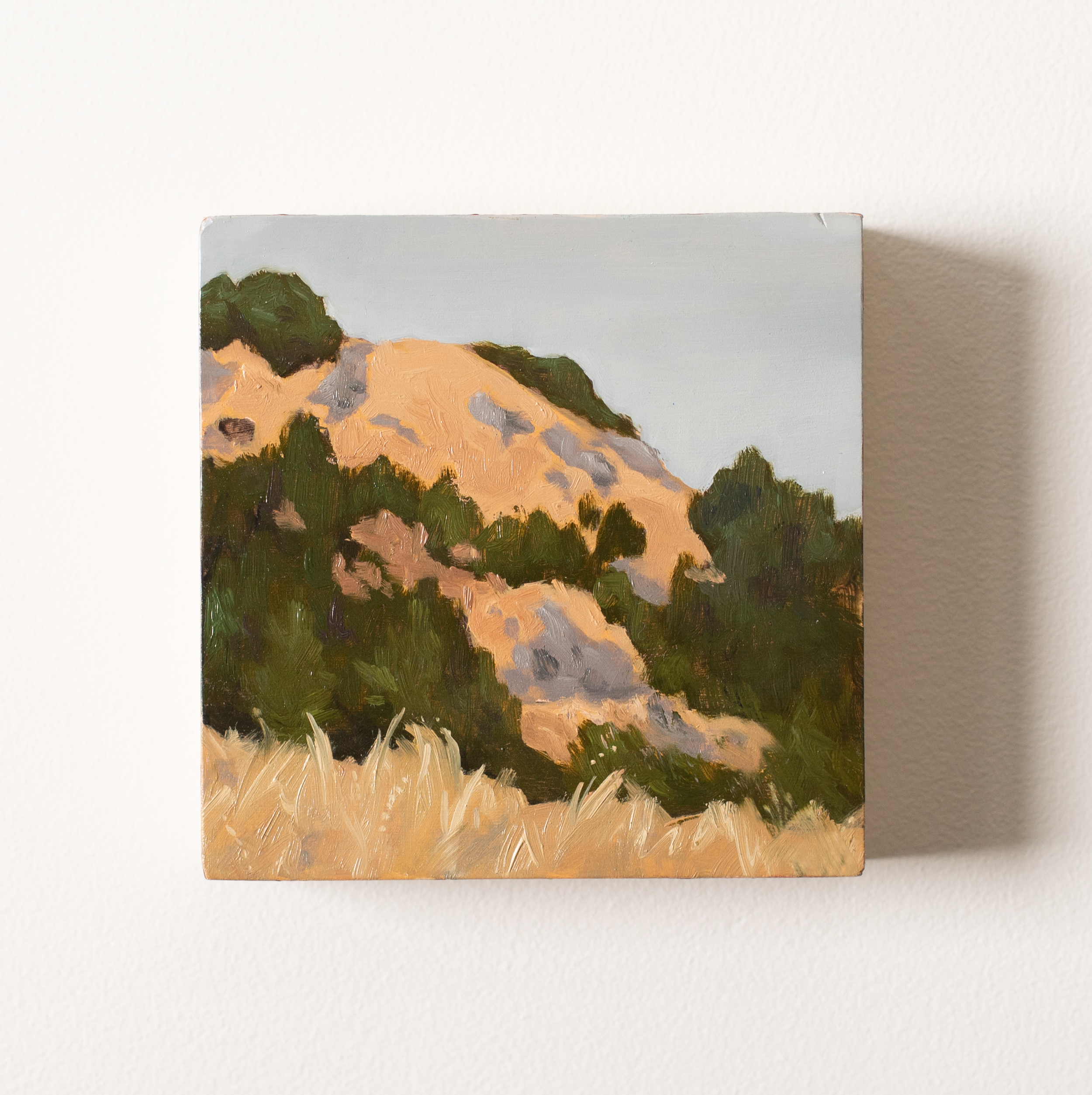 ARivera_Mt Tam #2_Gallery Photo.png
