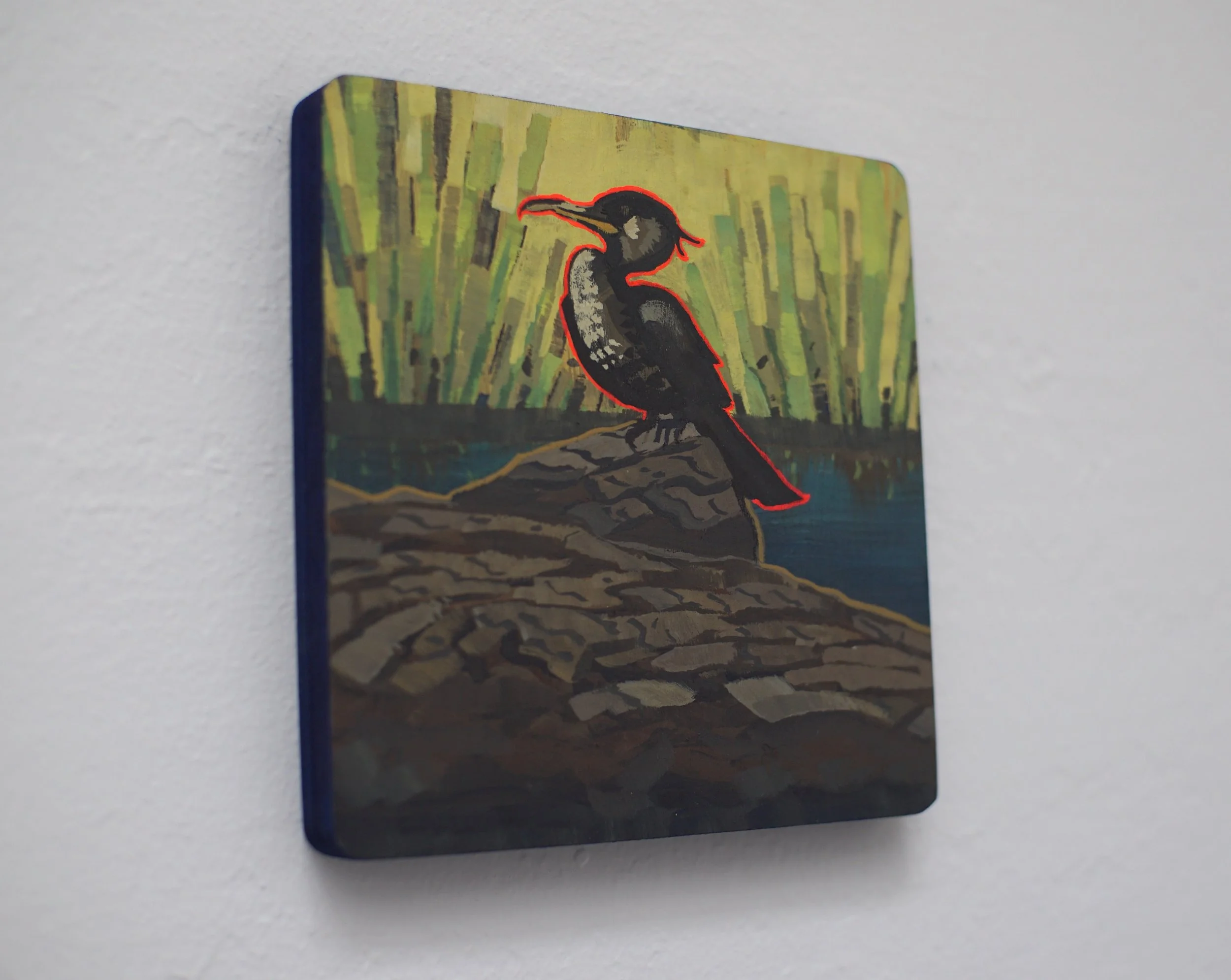 vshomo_cormorant2.JPG