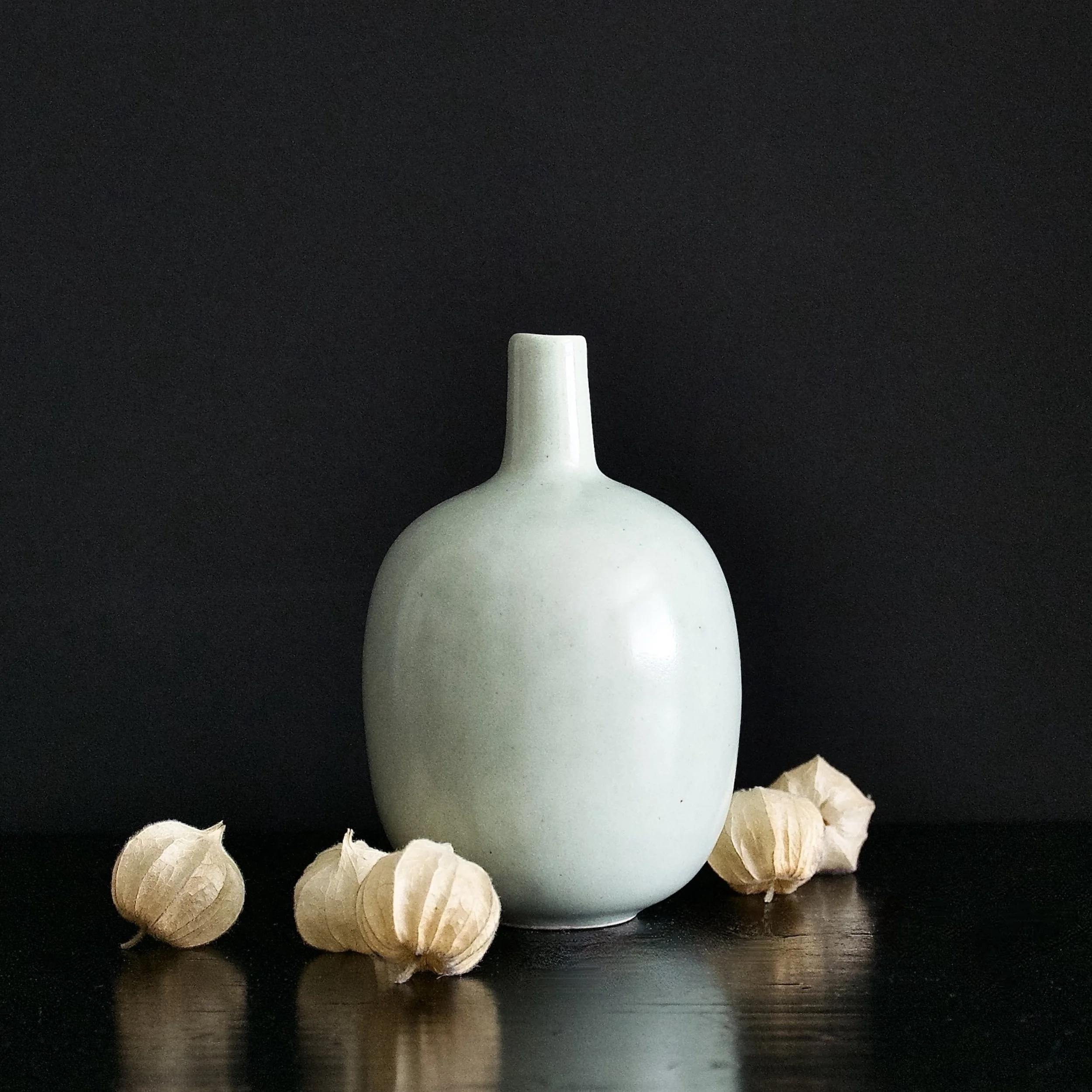 JAbrahams - Celadon Vase and Pods.6X6.1200 pixels.jpeg