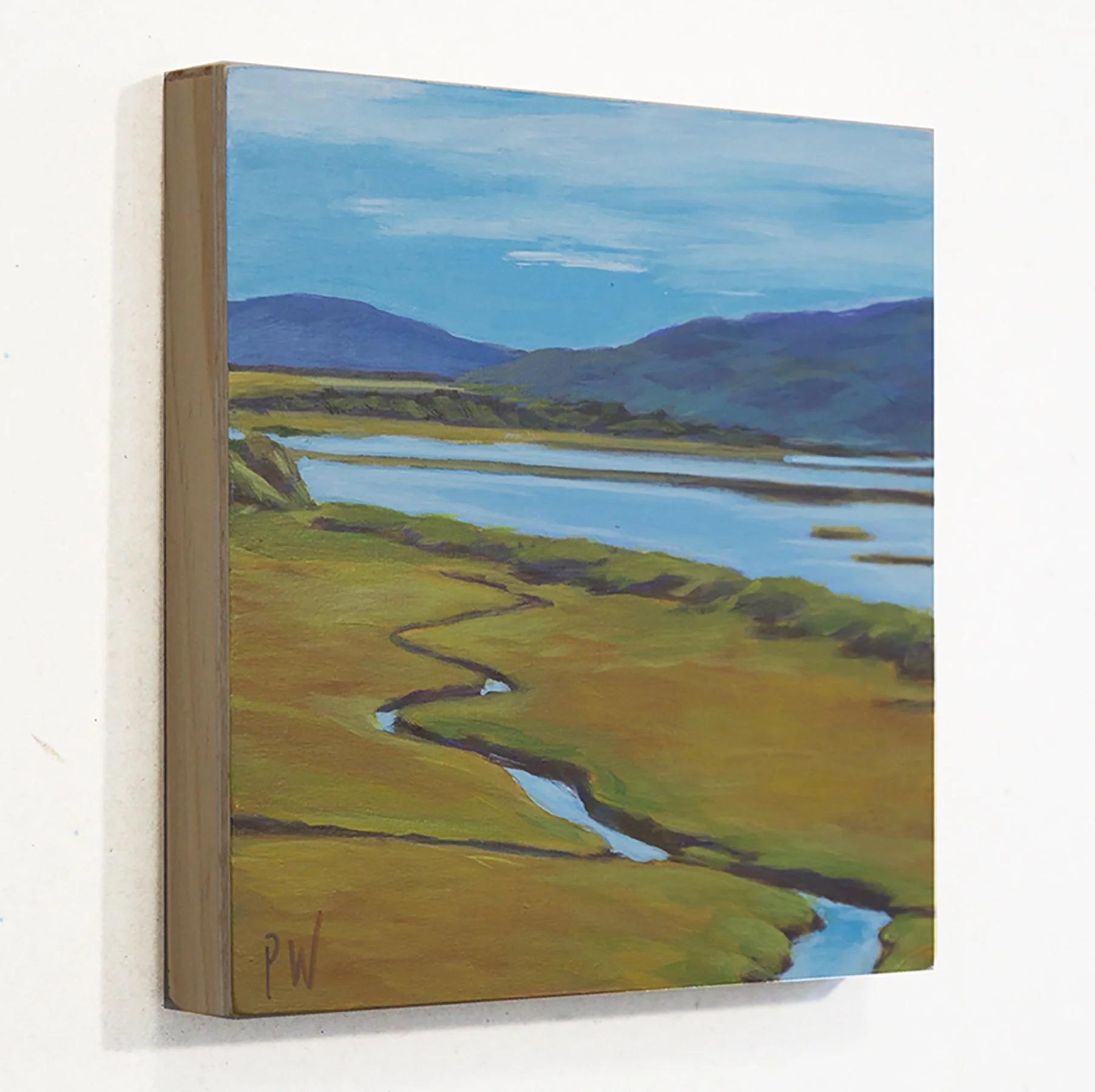 PWachs_Tomales Bay Estuary (Side).jpg