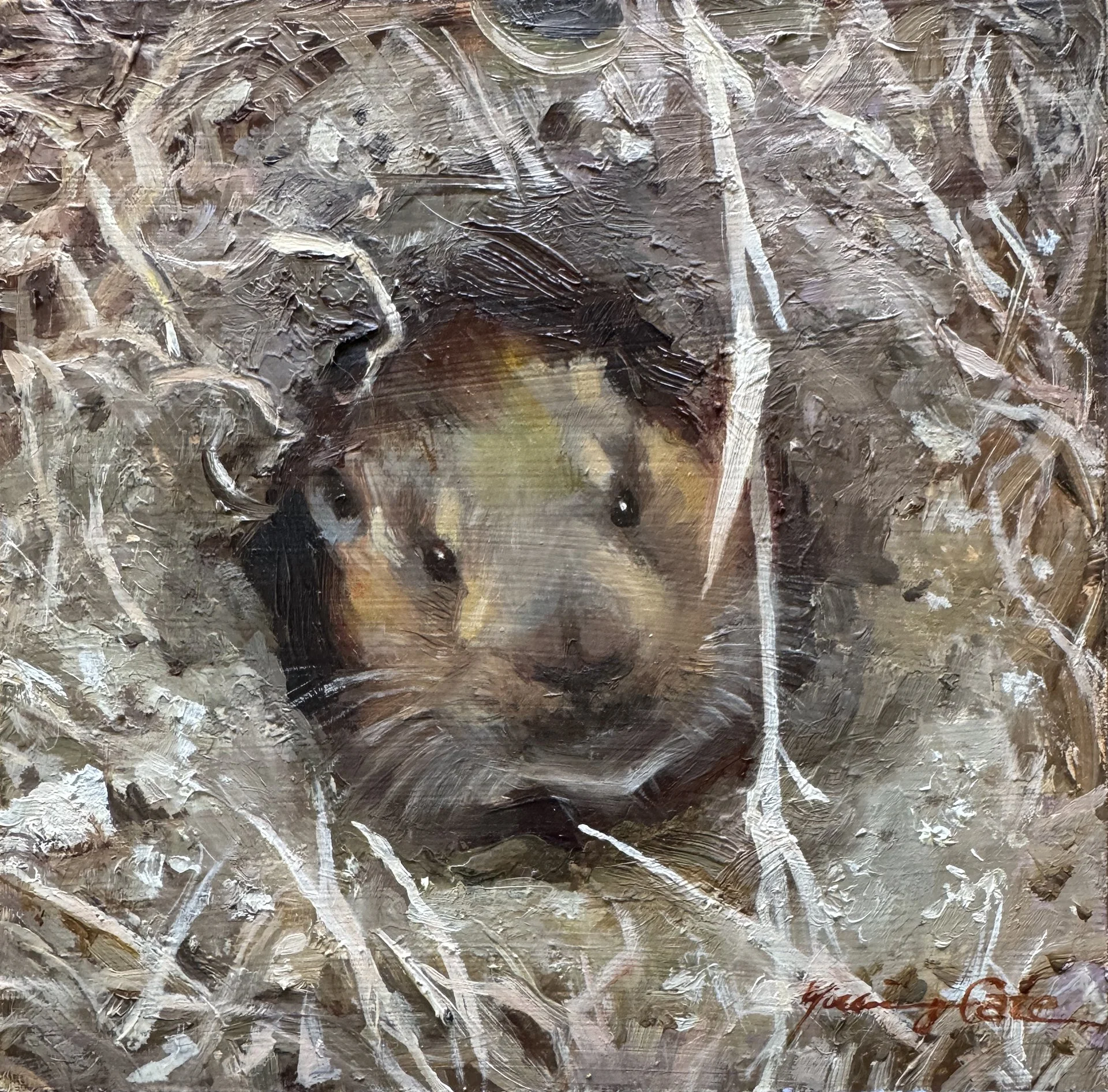 YCate-Ground Squirrel out of Burrow_Youming Cate.jpg