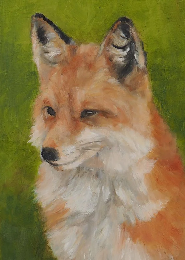 MYee-Mr Fox.JPG