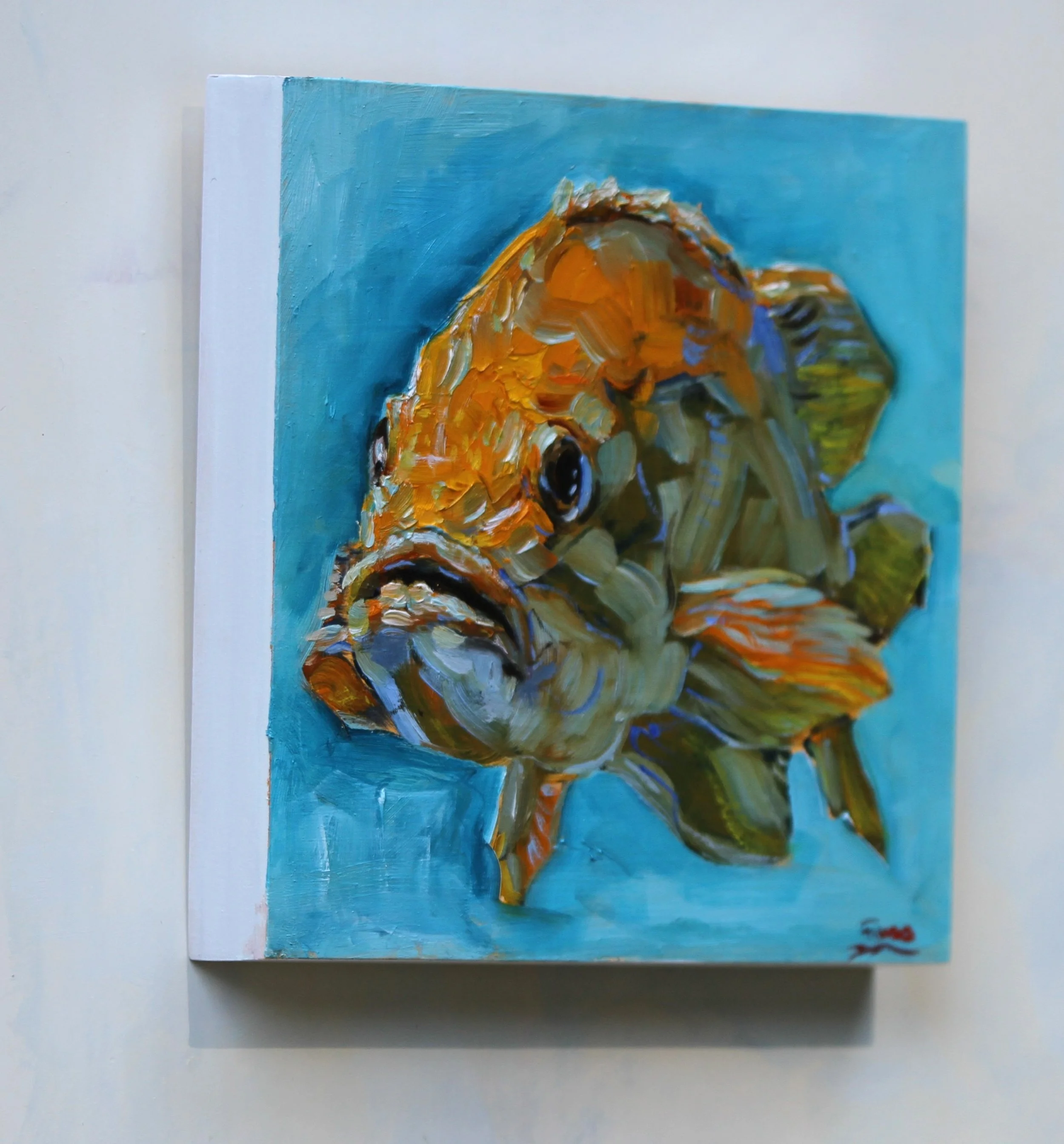 SFuess-Orange Rockfish wall_S.Fuess.JPG