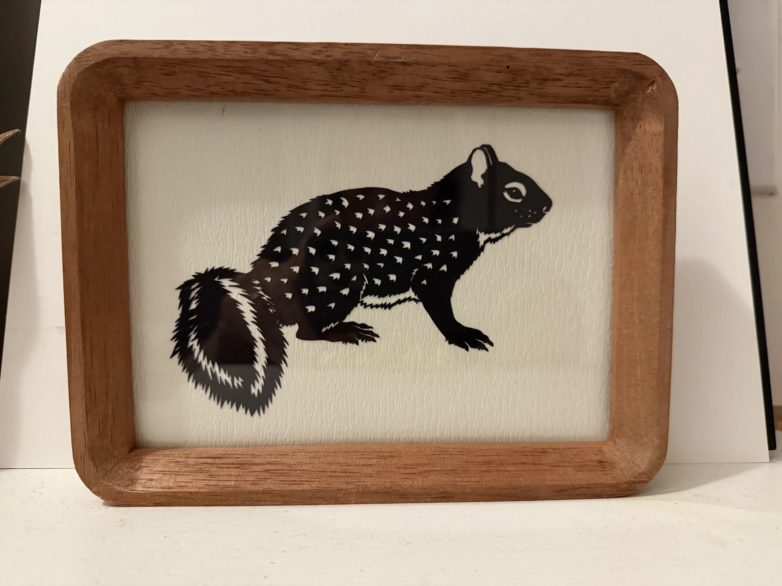 DYew-ground squirrel.JPG