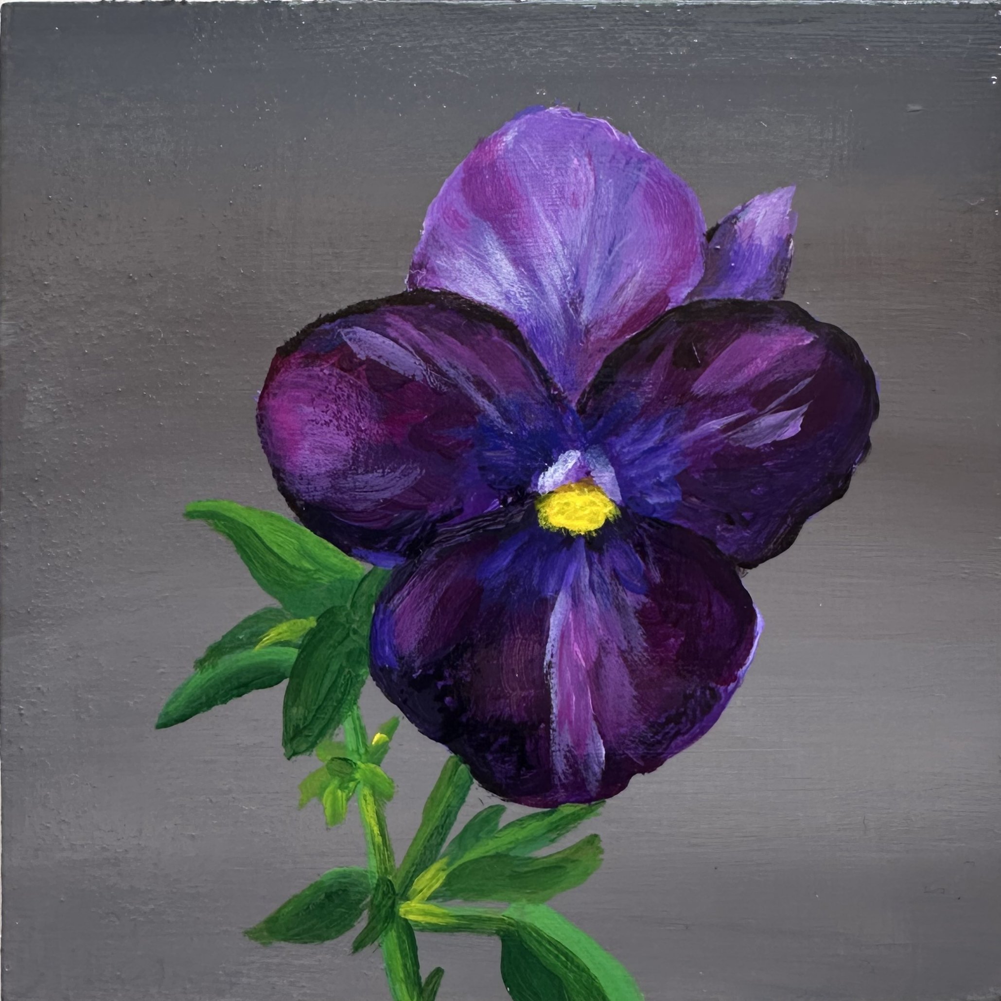 Kracz_pansy_unframed.jpg
