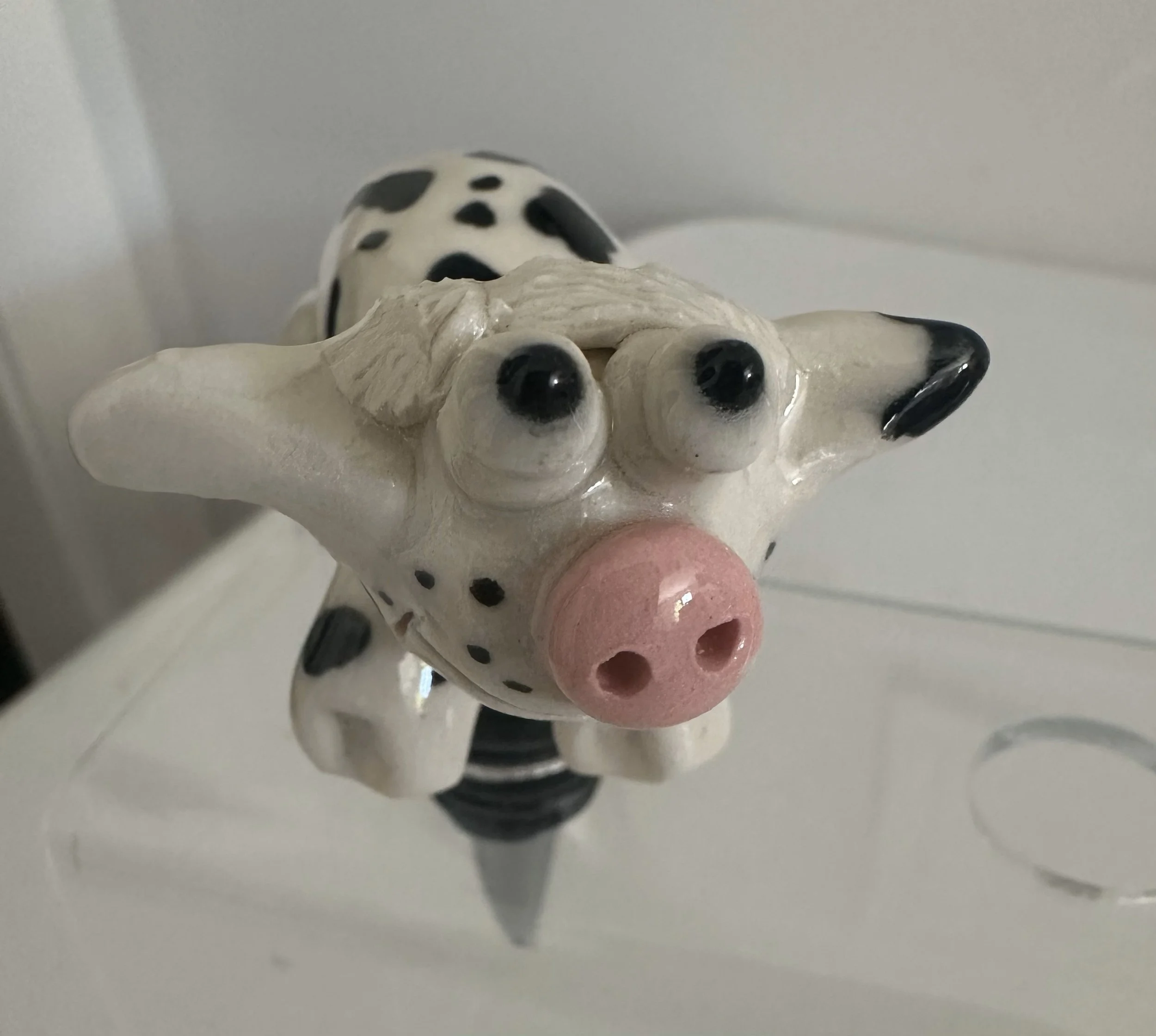 cow1.jpg