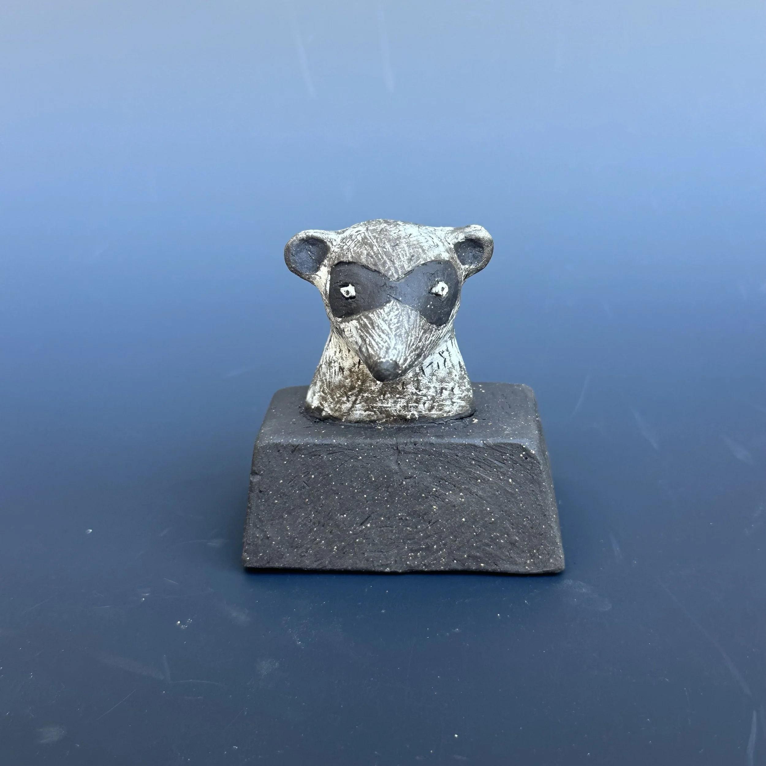 MBrennan-Racoon.jpg